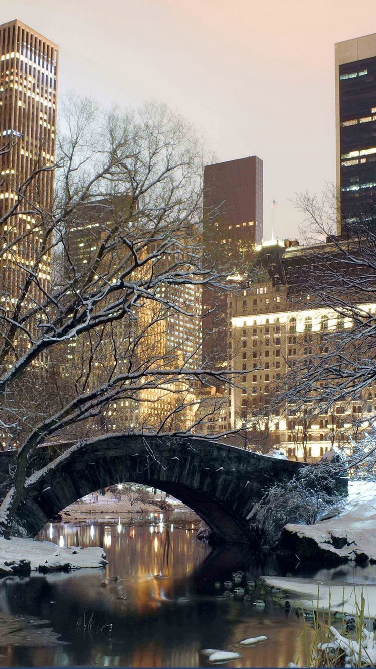 park, snow, bridge, trees, winter, USA