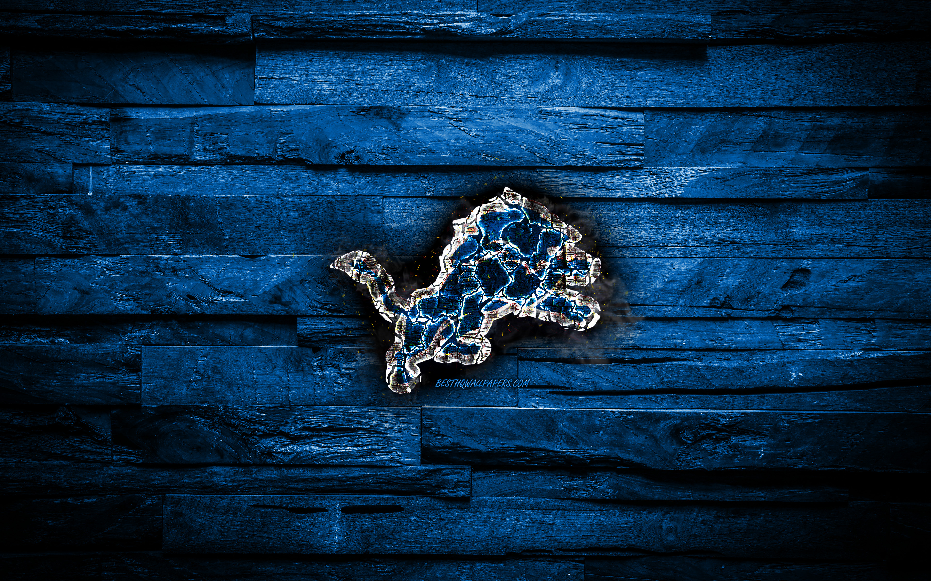 Download wallpaper Detroit Lions, 4k