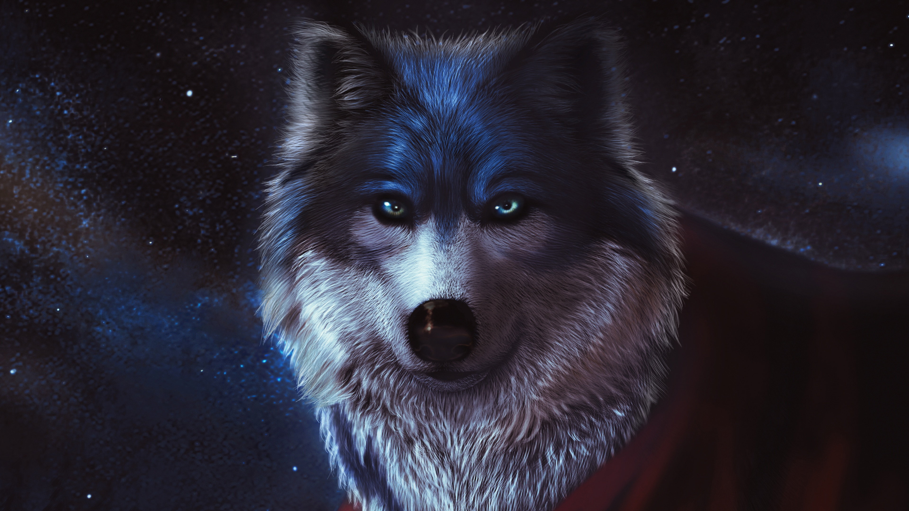 Arctic wolf Wallpaper 4K, CGI, Predator