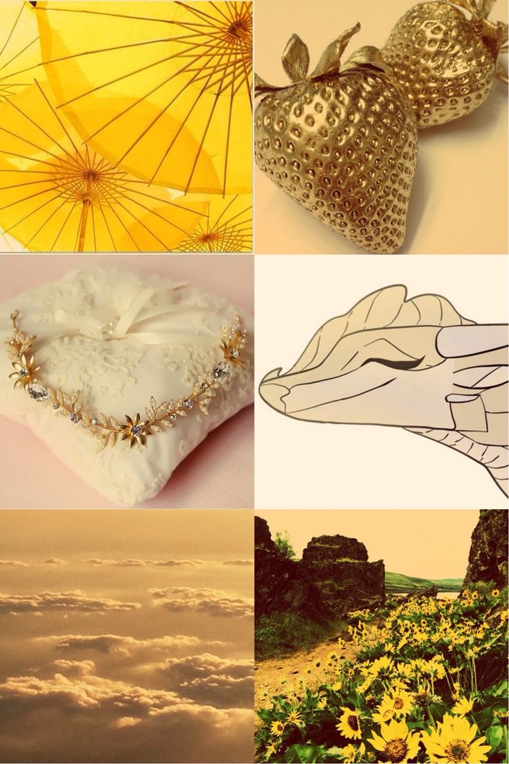 wings of fire aesthetics