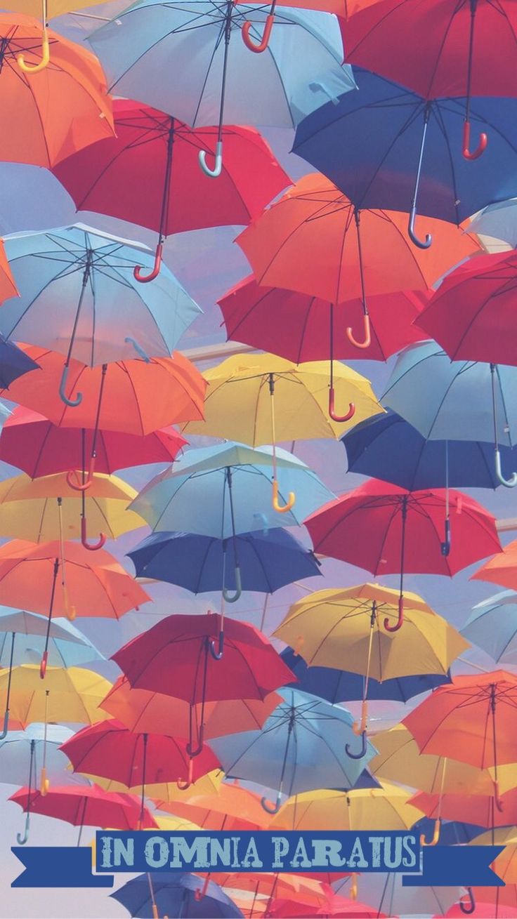 In Omnia Paratus. Gilmore Girls Tia