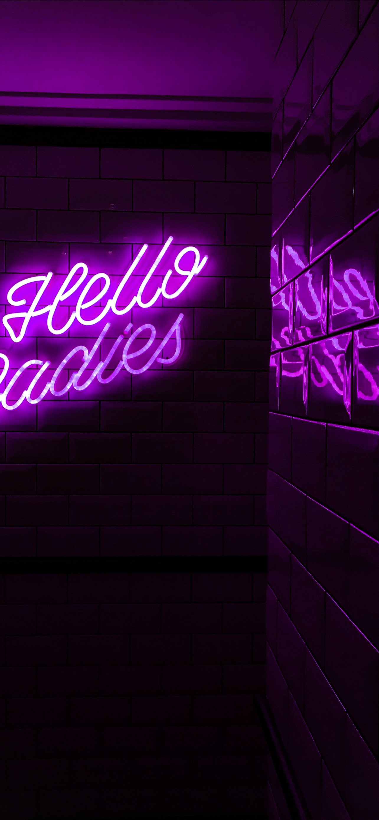 purple Hello Ladies LED signage iPhone