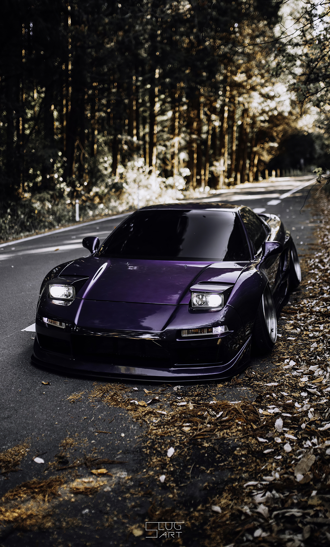 Honda Acura Nsx Purple Colour