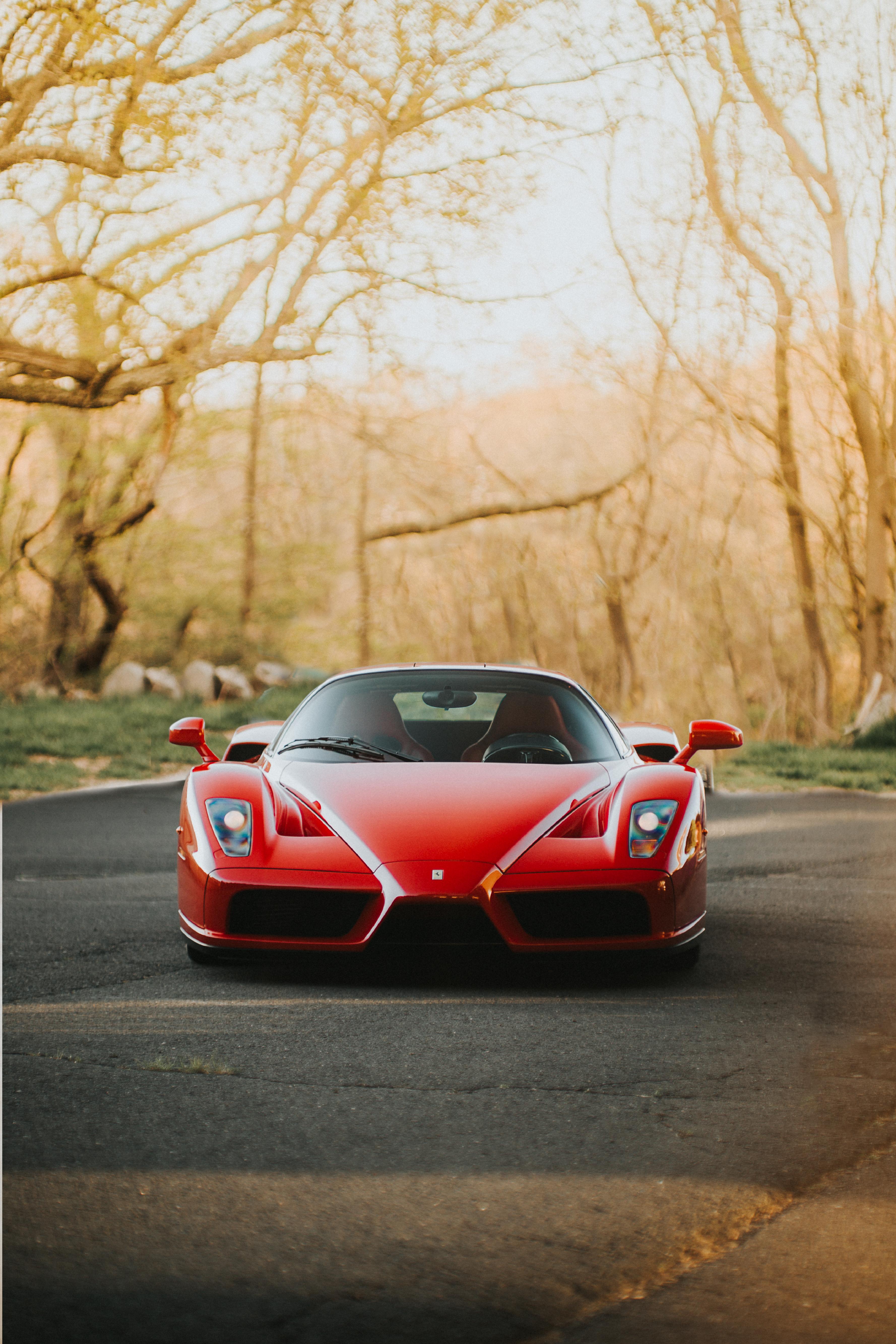 photograph a Ferrari Enzo