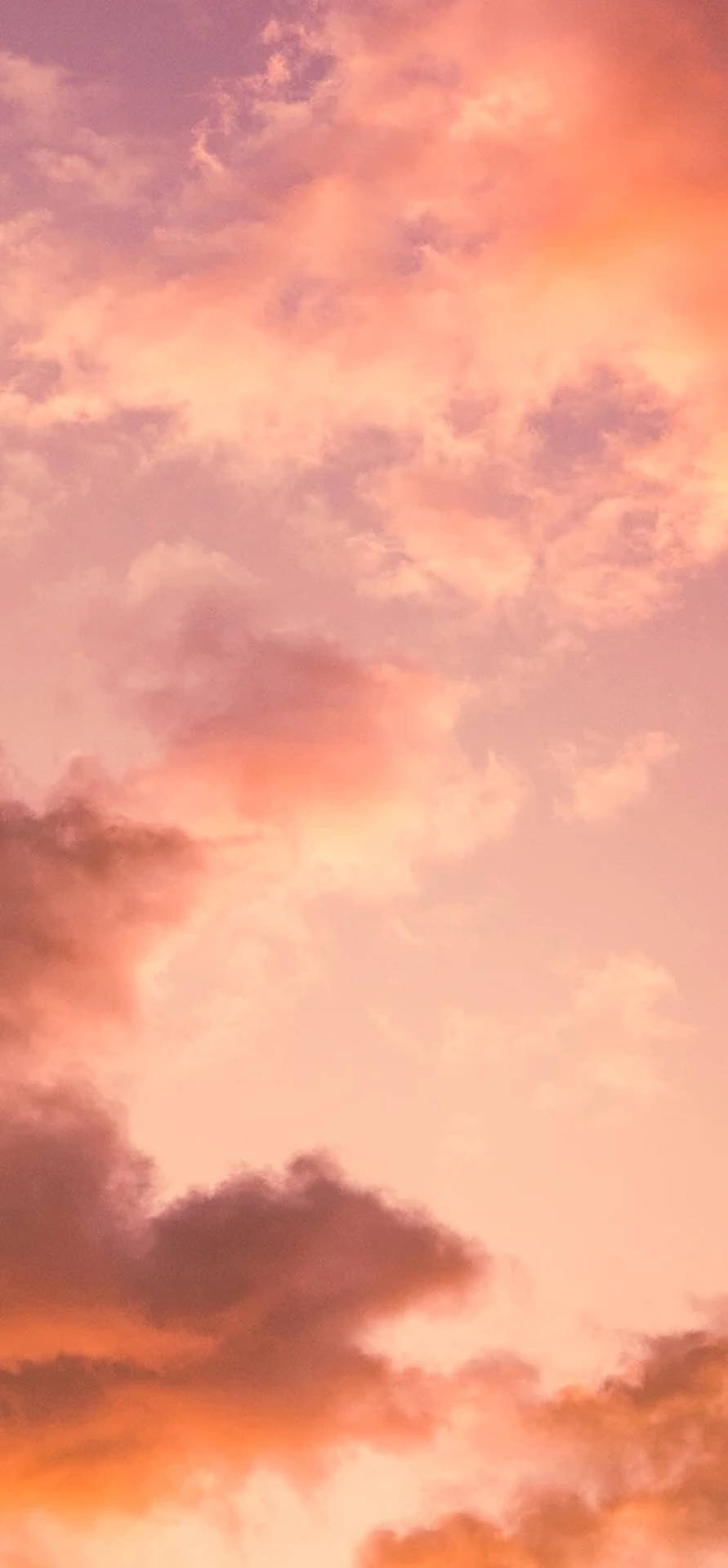 Download iPhone Aesthetic Wallpaper