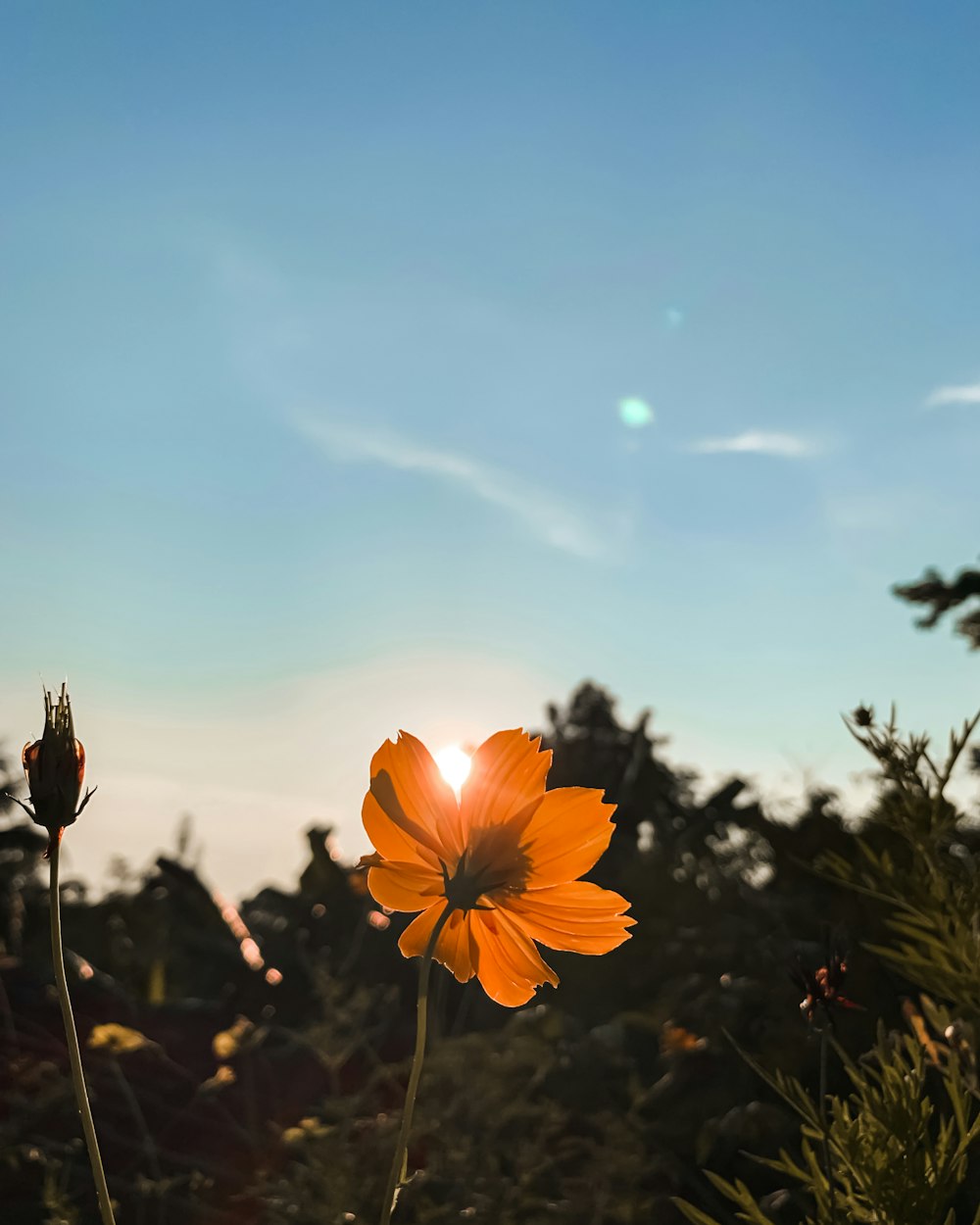 Aesthetic Sky Picture. Download