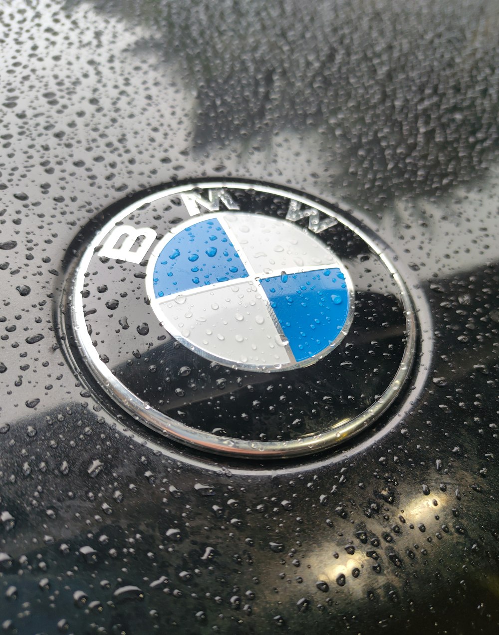Bmw Logo Picture. Download Free