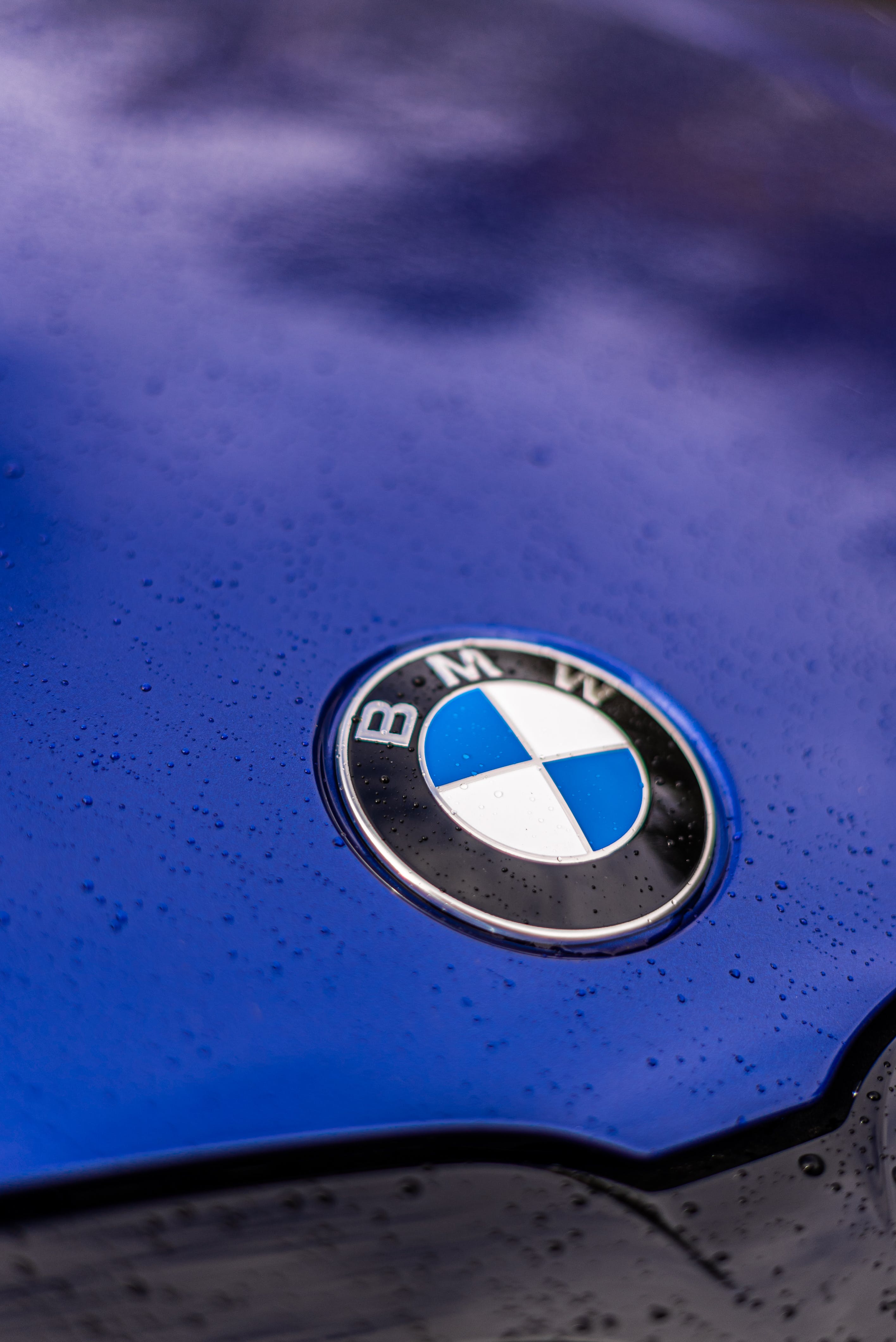 BMW Logo in Close Up Shot · Free Stock