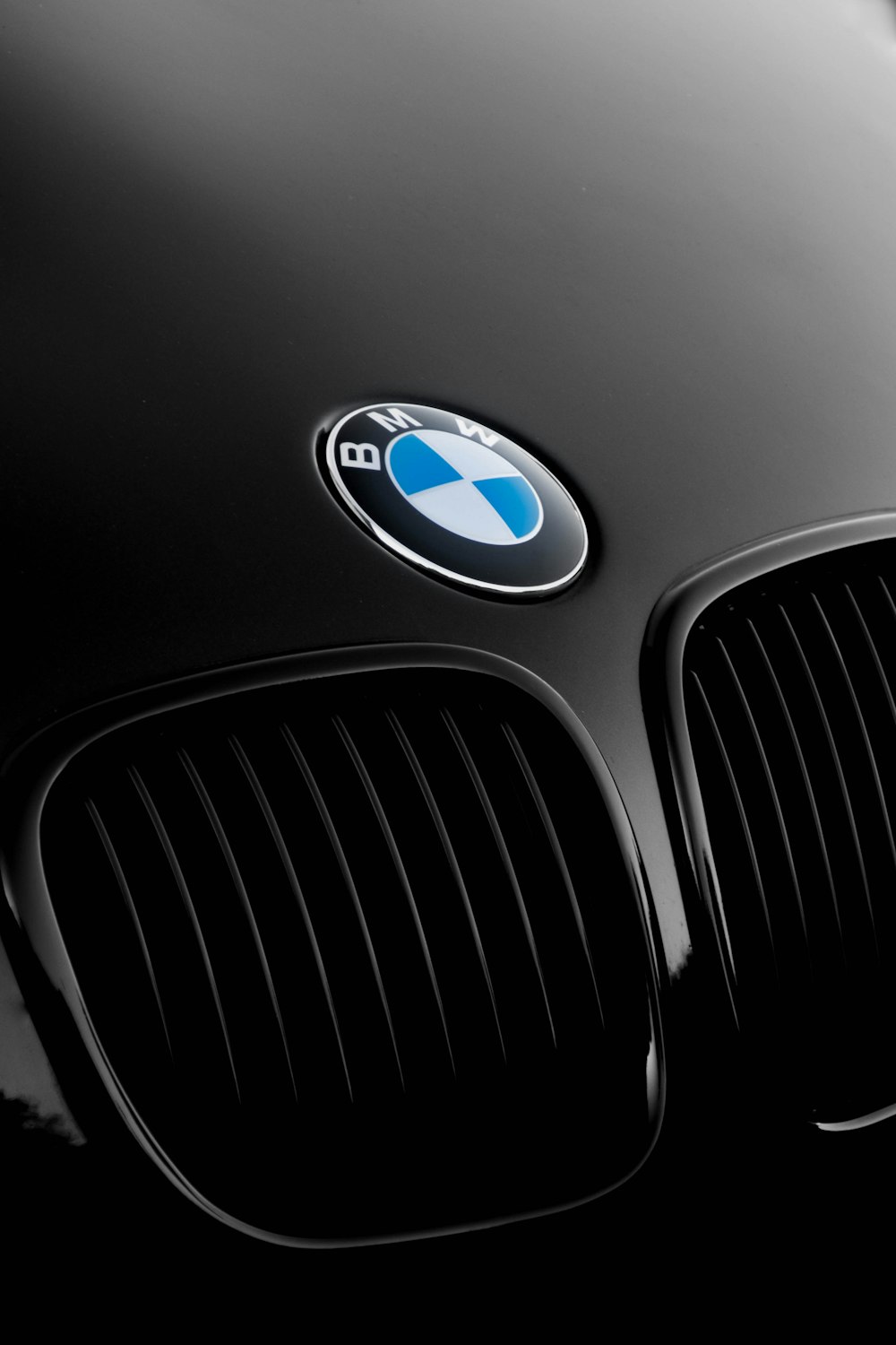 Bmw Logo Picture. Download Free