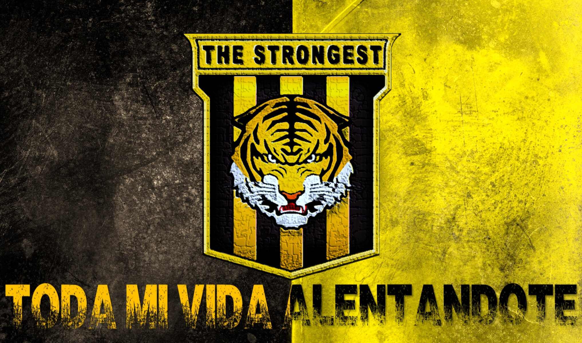 Club The Strongest: 14 Football Club