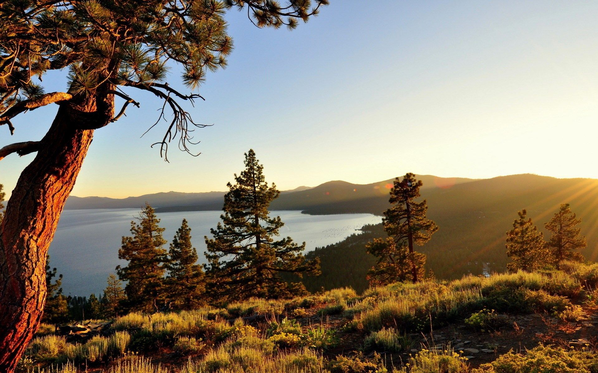 Scenic, HD nature wallpaper, Tahoe