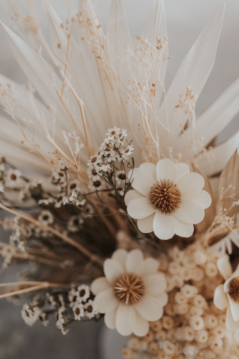 flowers wallpaper, Flower aesthetic