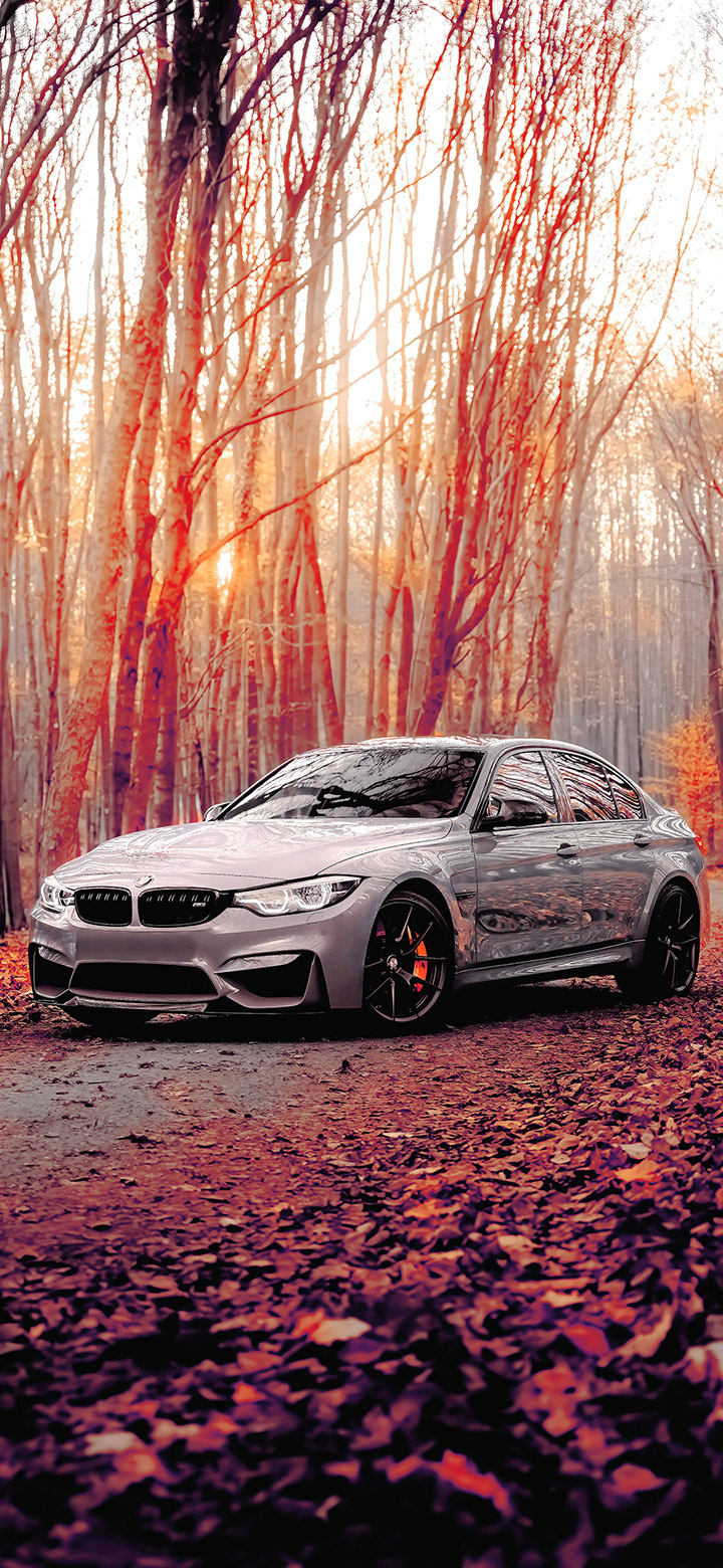 BMW M3 In The Brown Forest 4K Phone Wallpaper