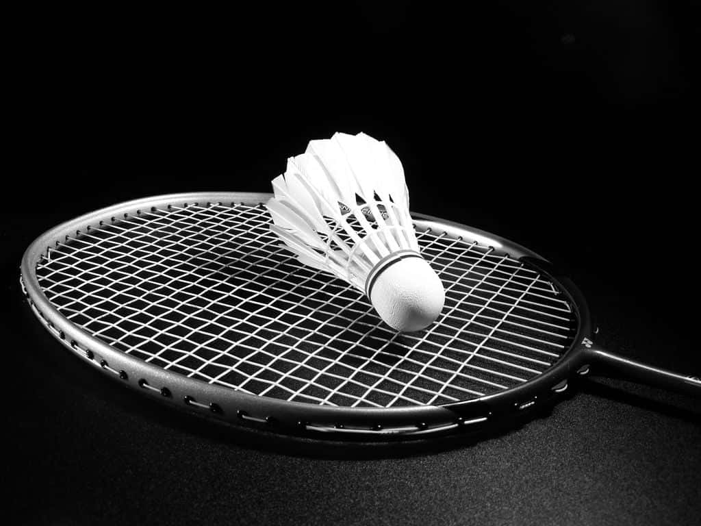 Download Badminton Racket