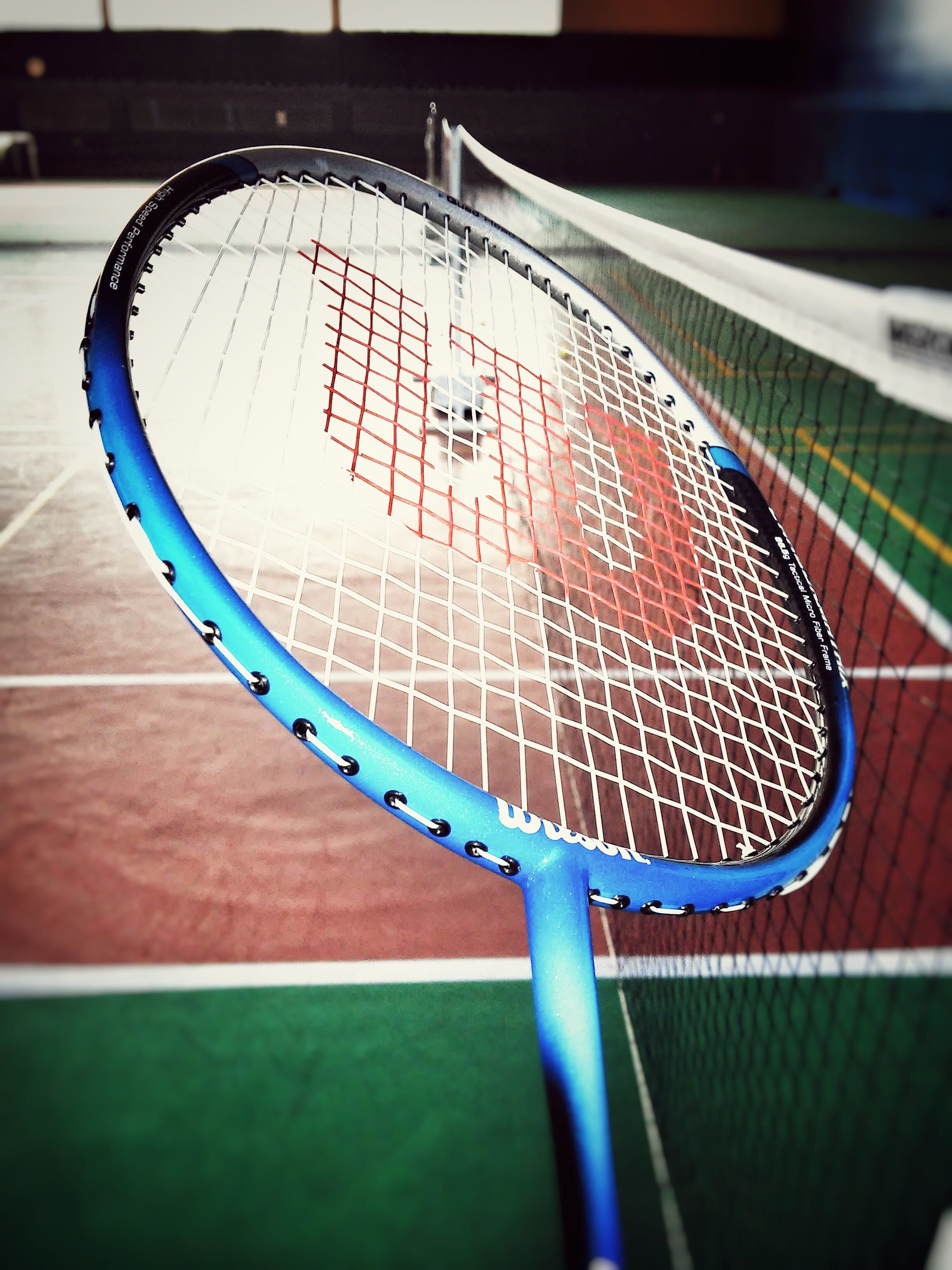 HD wallpaper: closeup photo of blue