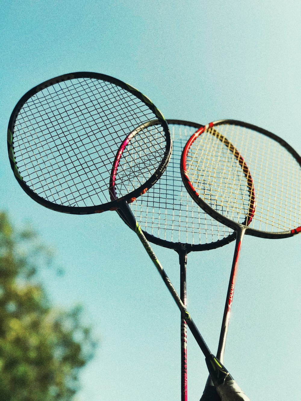 Racket Picture. Download Free Image