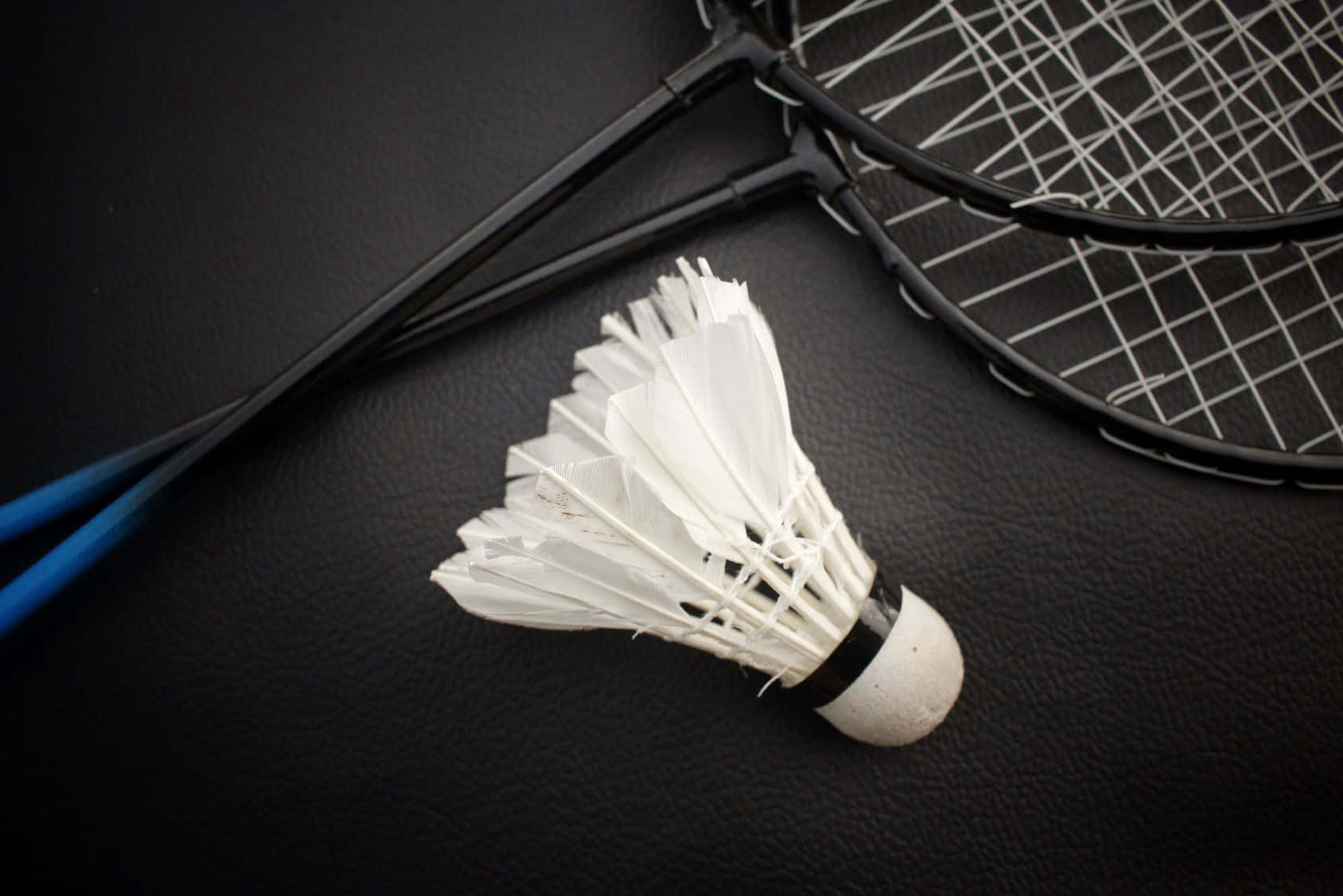 Download Exciting HD Badminton Match