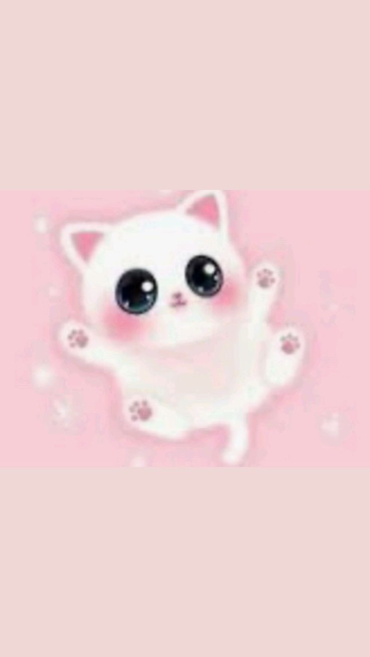 Pink Kitty Wallpaper
