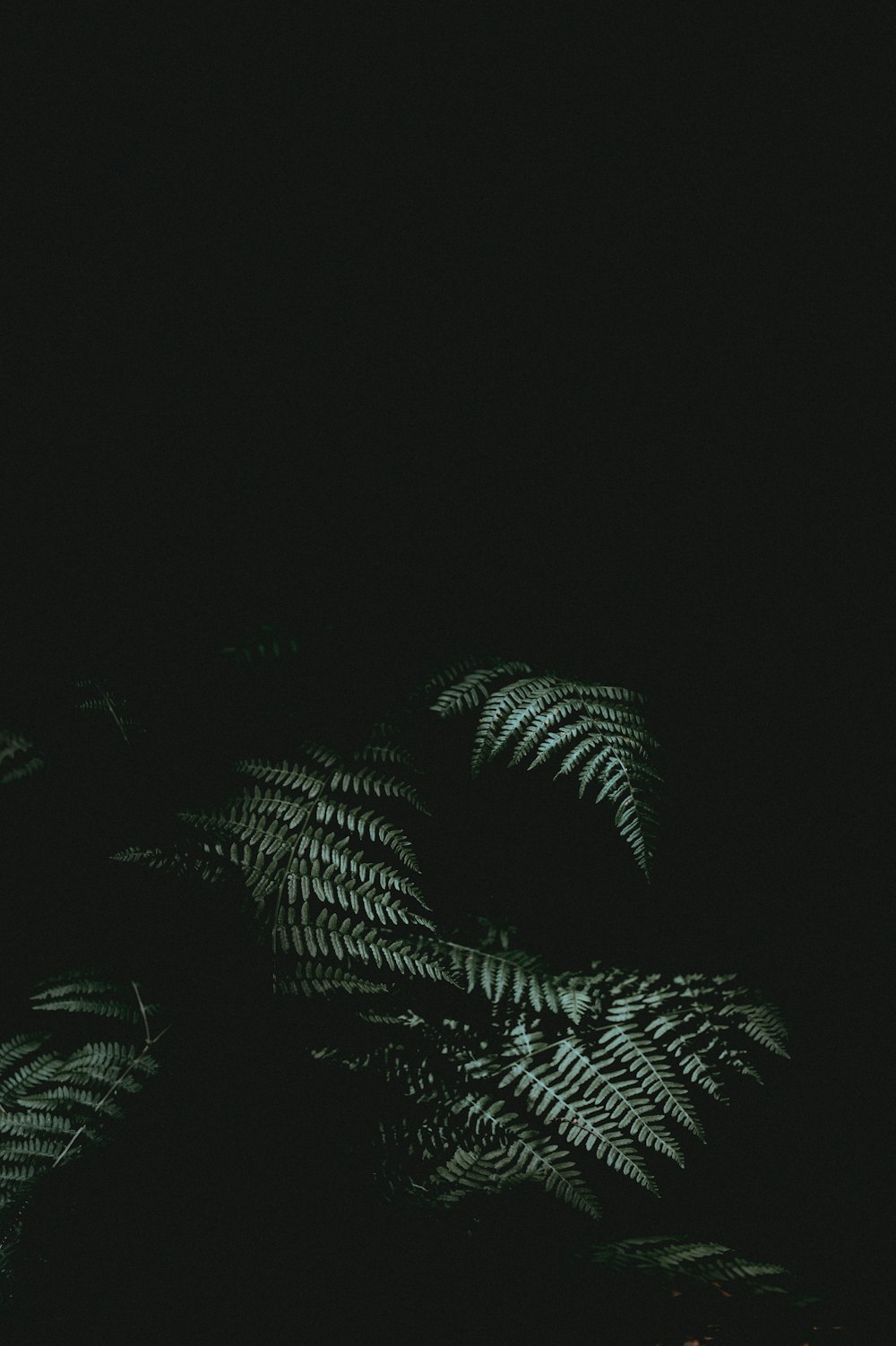 Black iPhone Wallpaper Picture