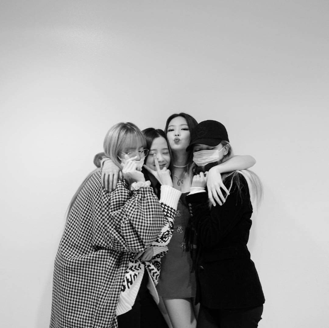 BlackPink. Wiki. •BLACKPINK• Amino