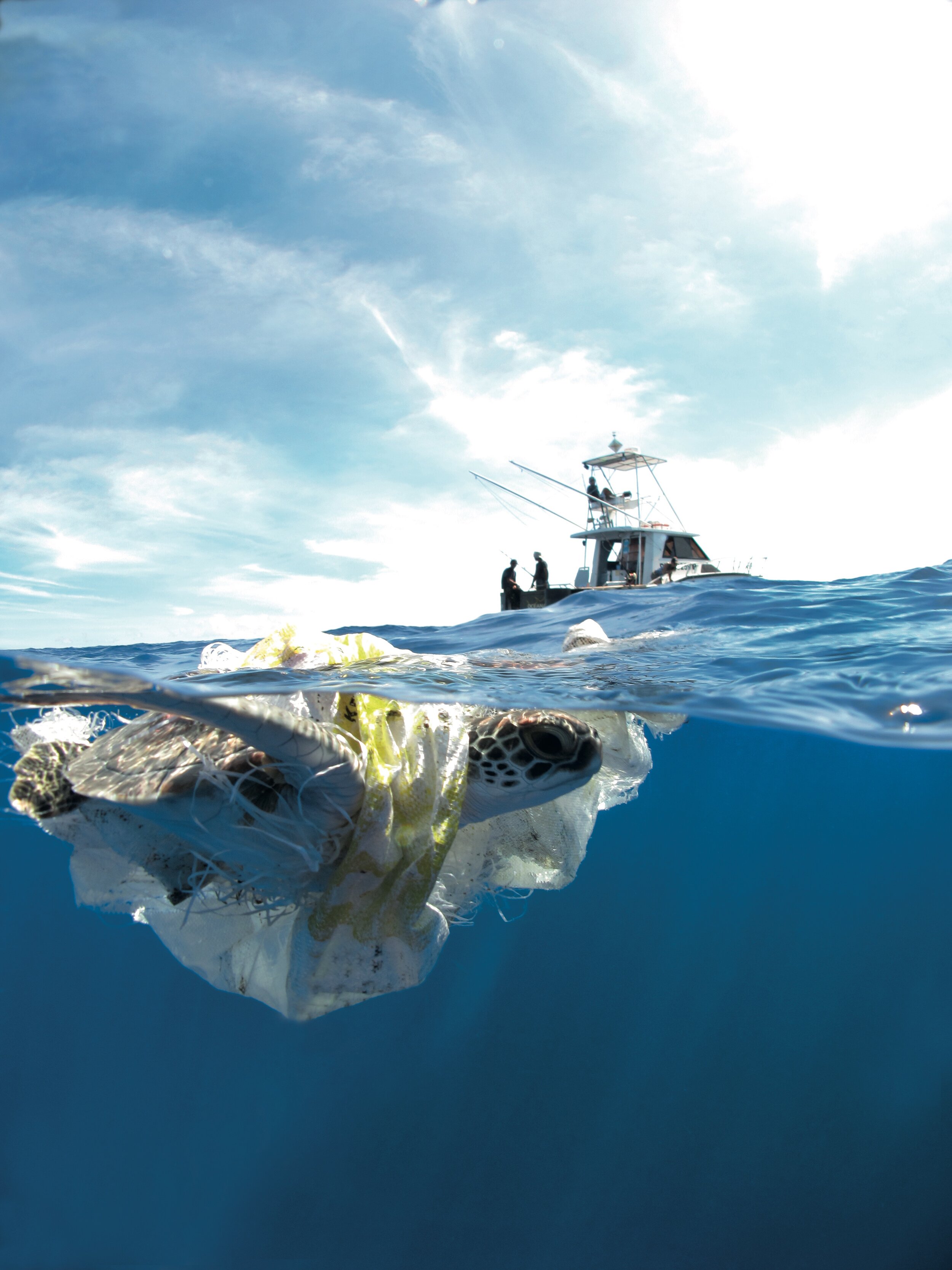 Ocean Plastic Pollution in Europe