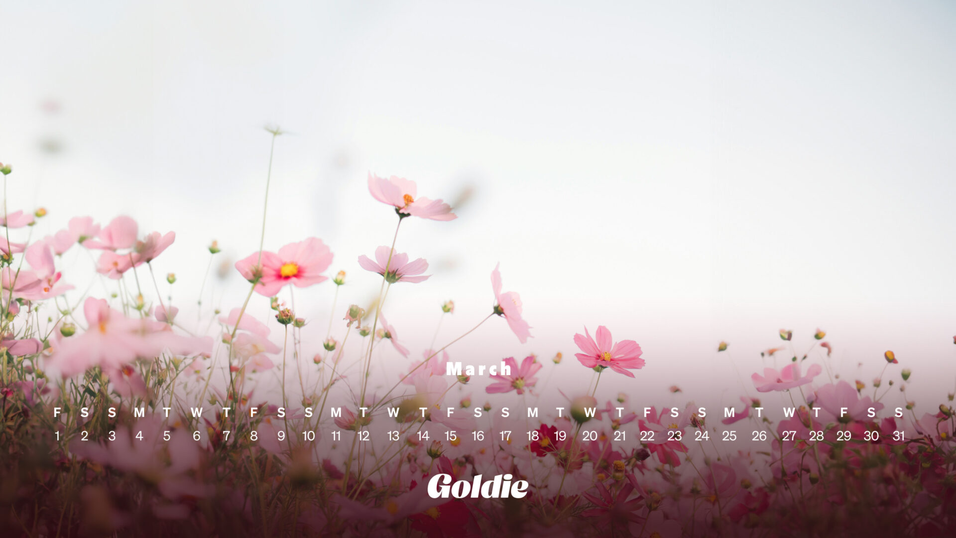 Free March 2024 Calendar Wallpaper