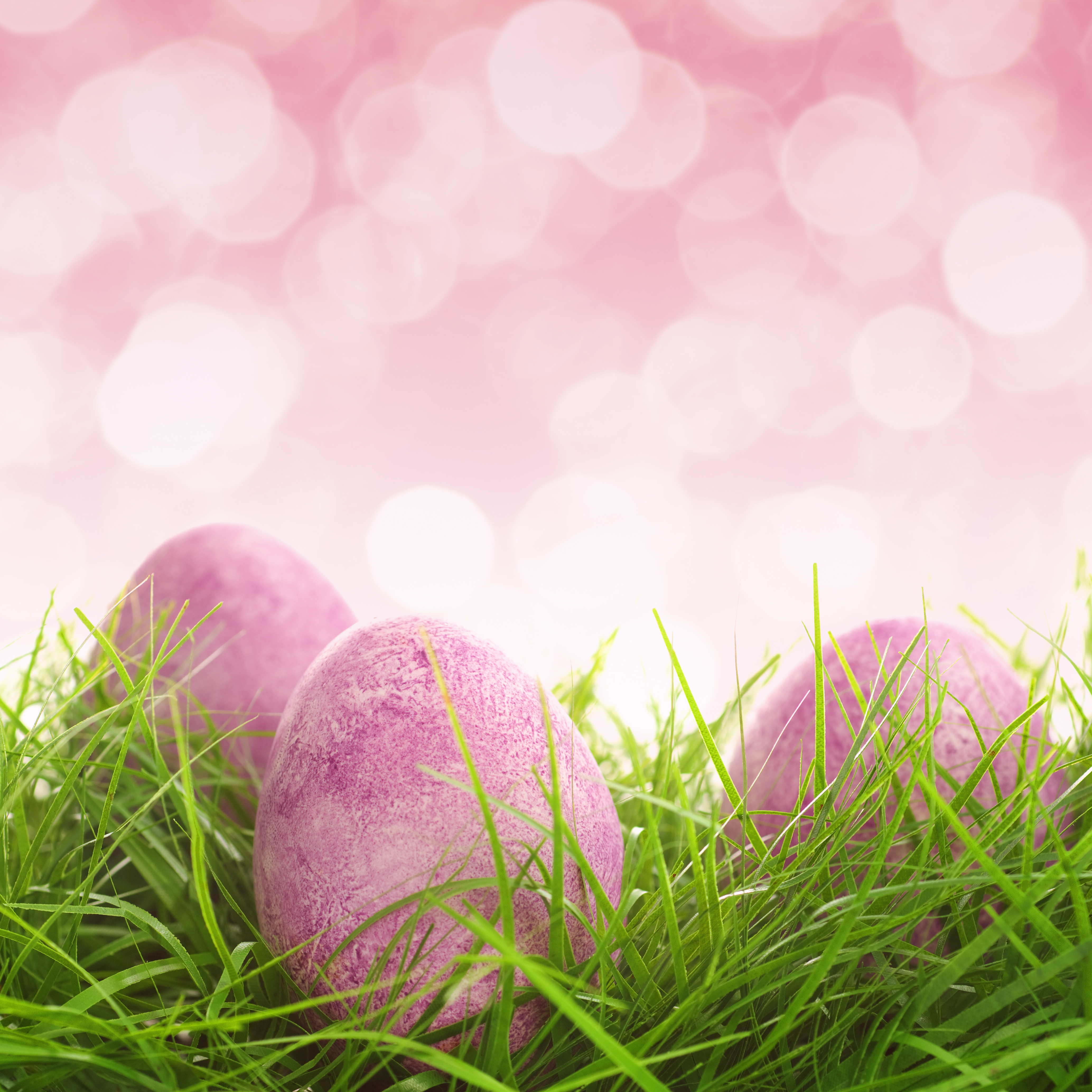 Easter Pink Background with Eggs