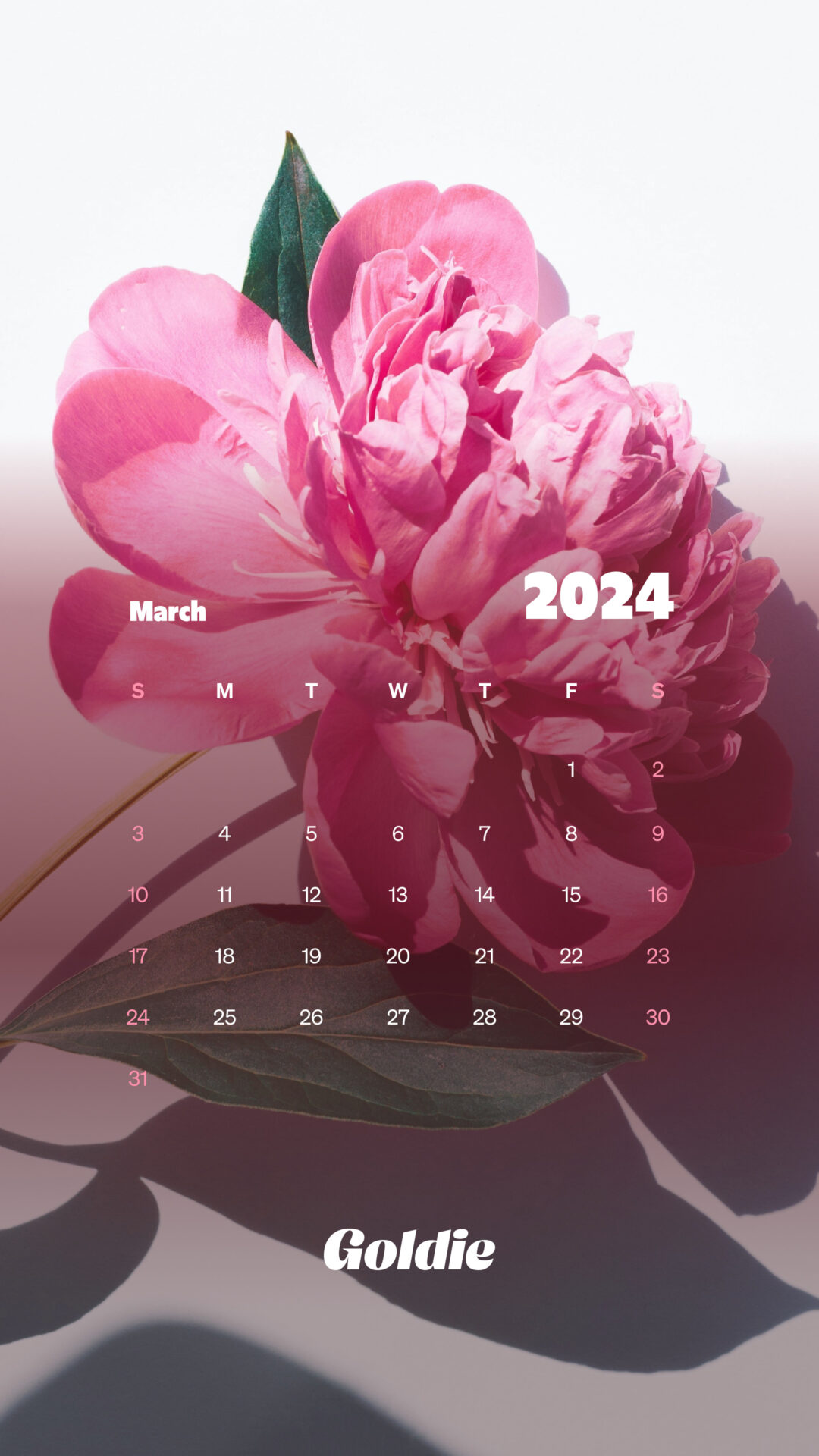 Free March 2024 Calendar Wallpaper