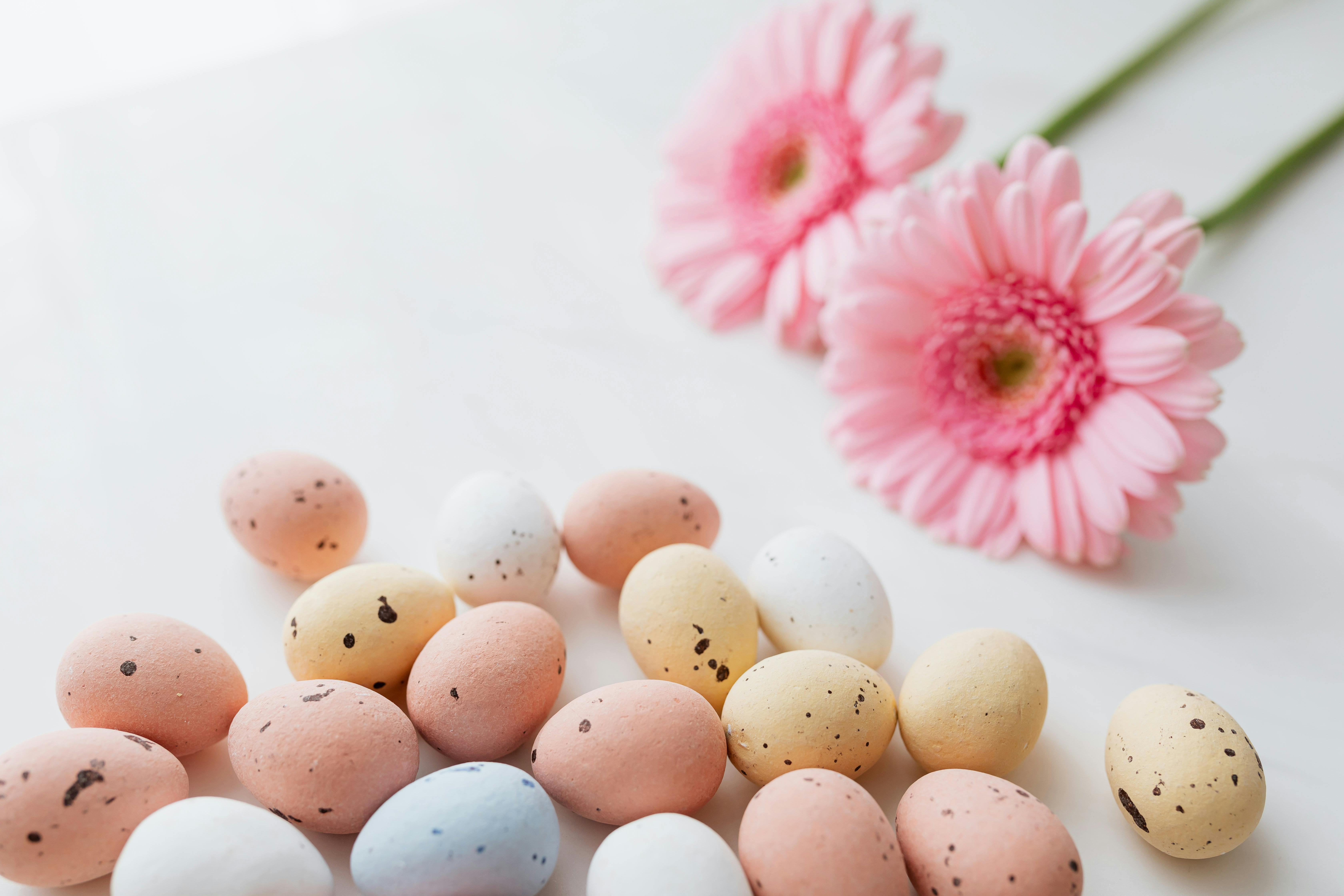 Easter Eggs and Pink Flowers · Free