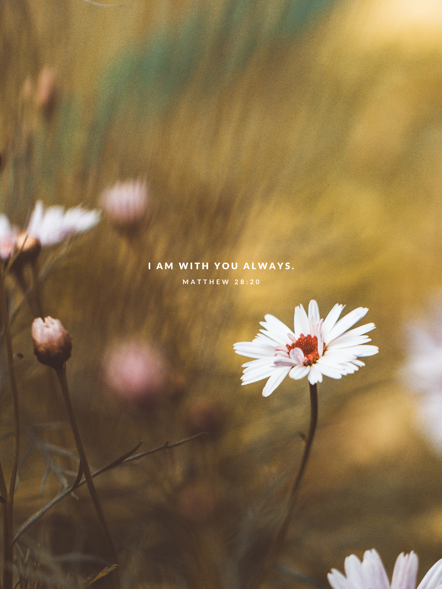 September Background: Free Download