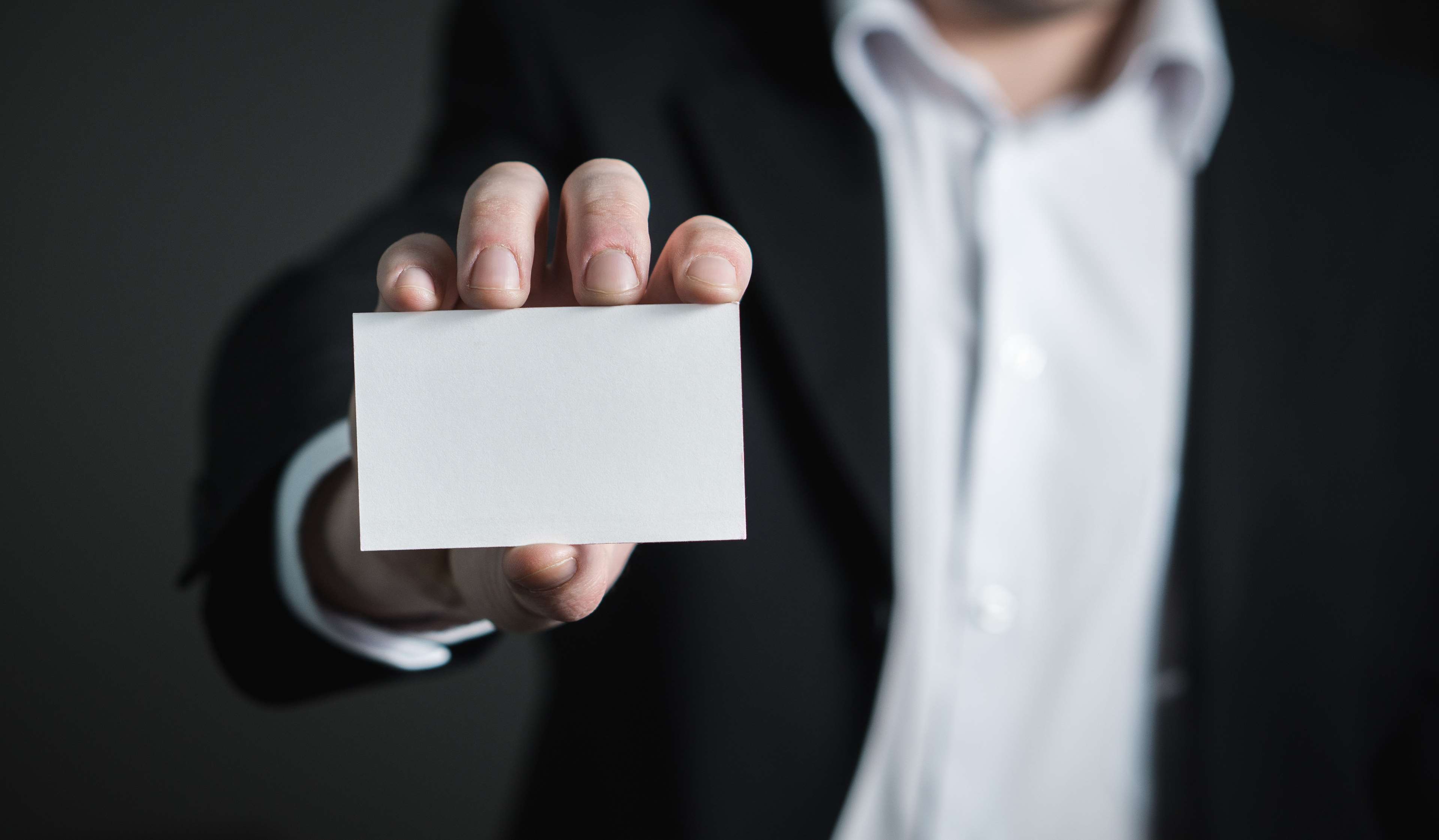 adult, blank, business, businessman