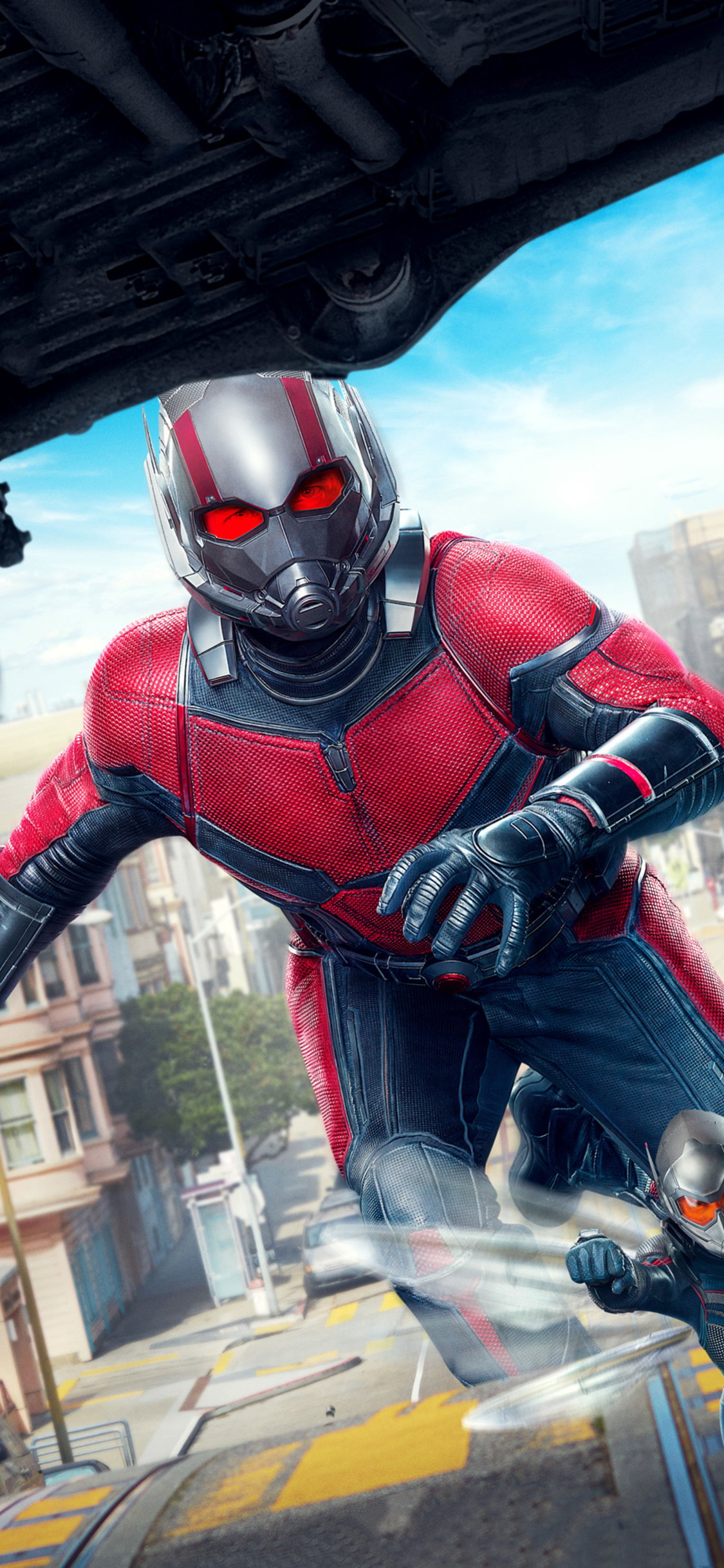 The Wasp Imax Poster iPhone XS