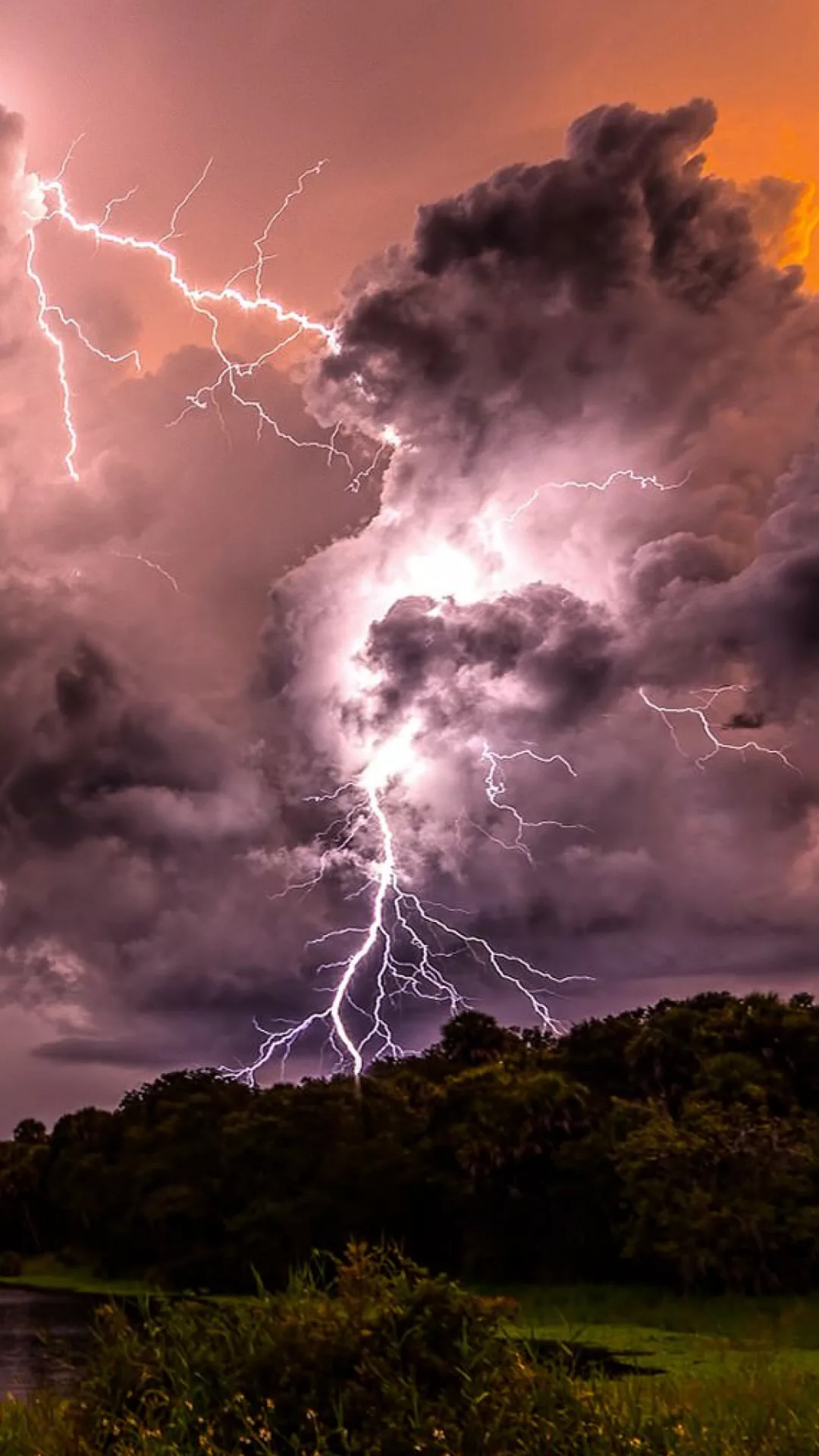 Wallpaper HD:Amazon.com