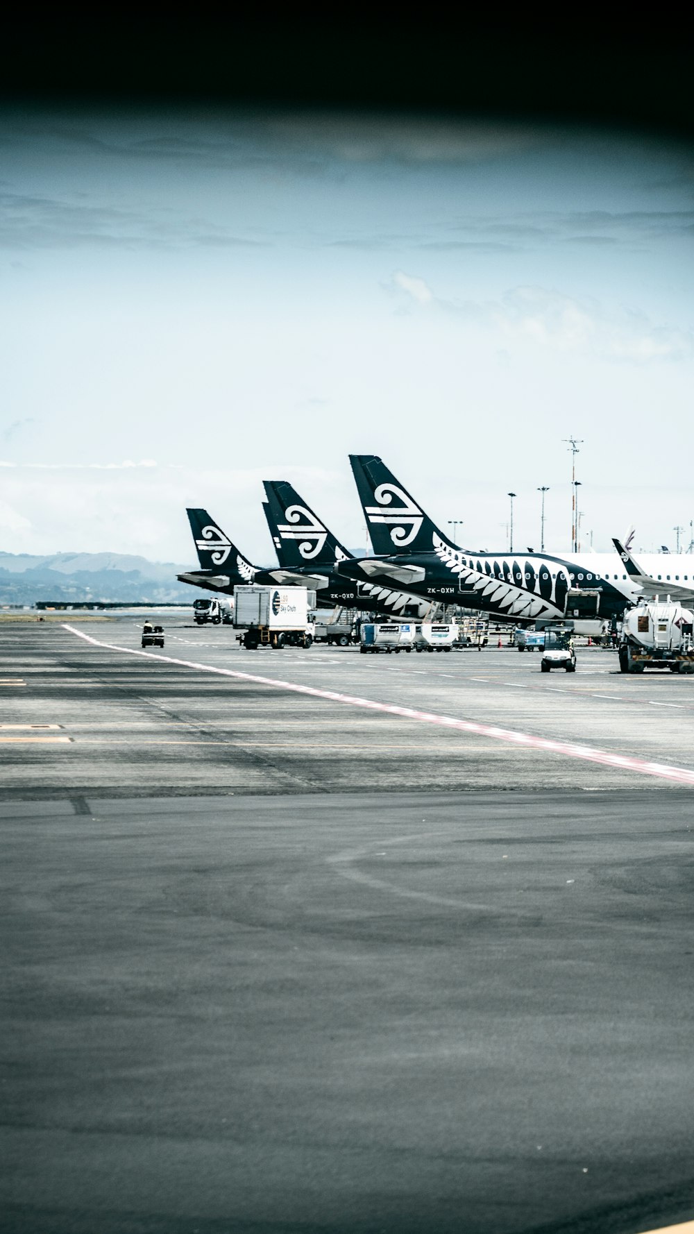 45,Air New Zealand Picture
