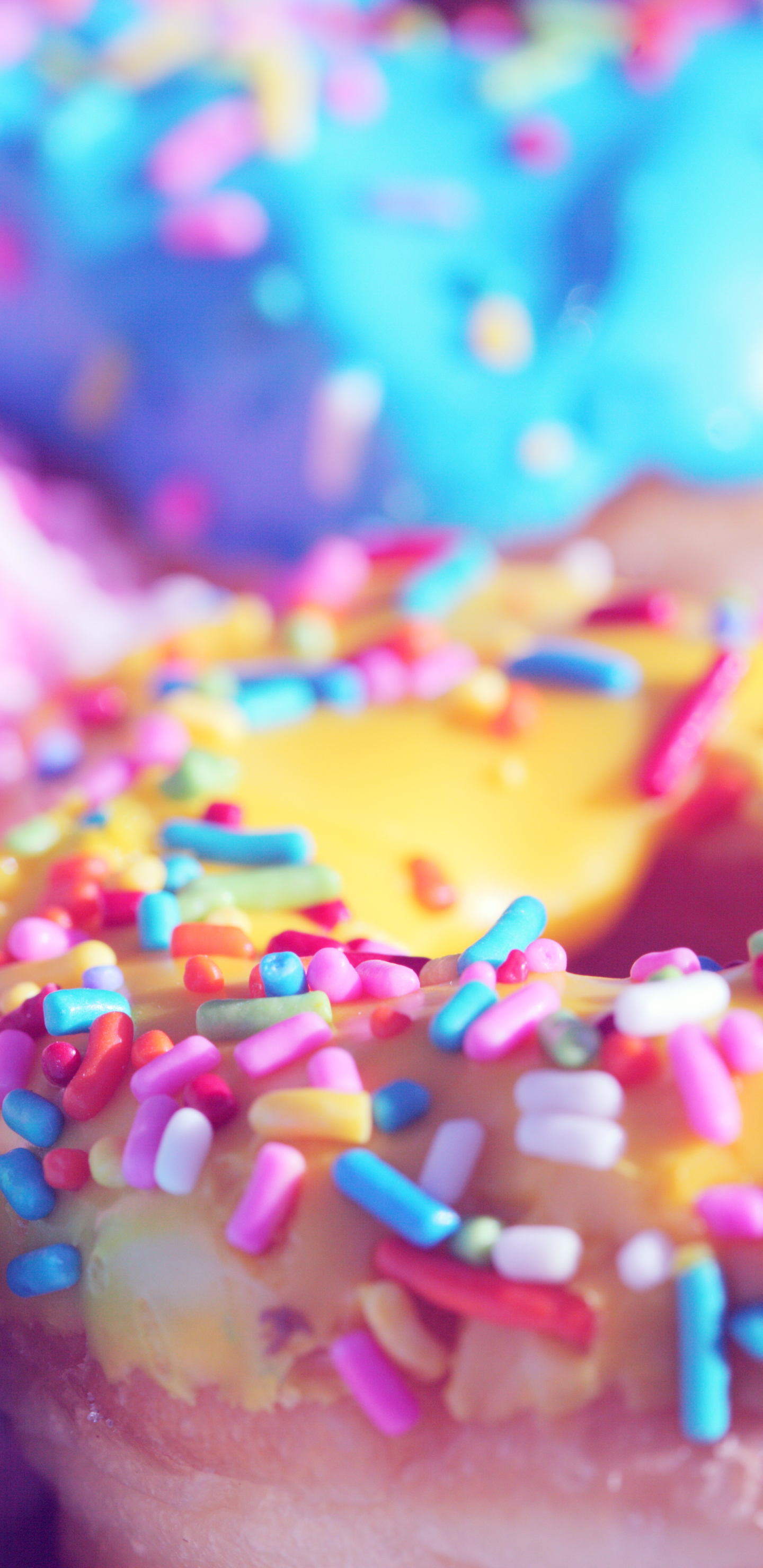 Sweets, Doughnut, 1313865