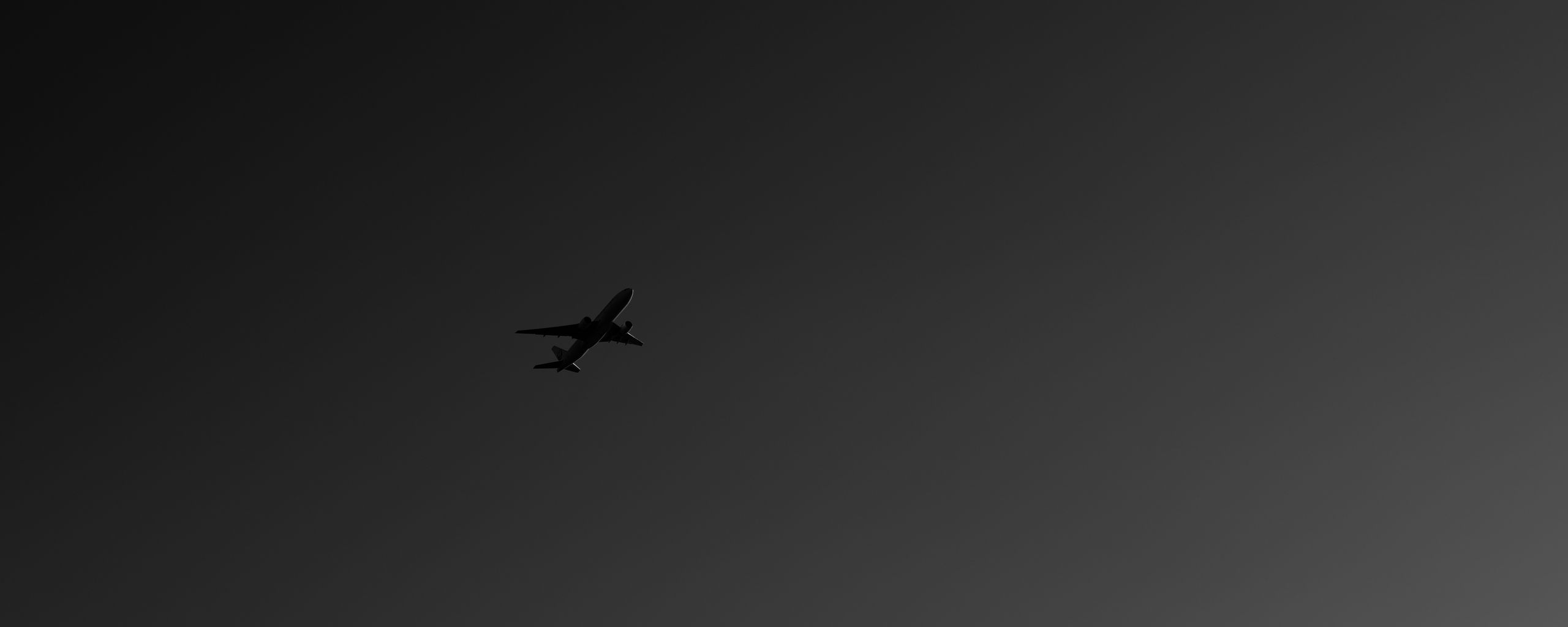 Download wallpaper 2560x1024 plane, bw