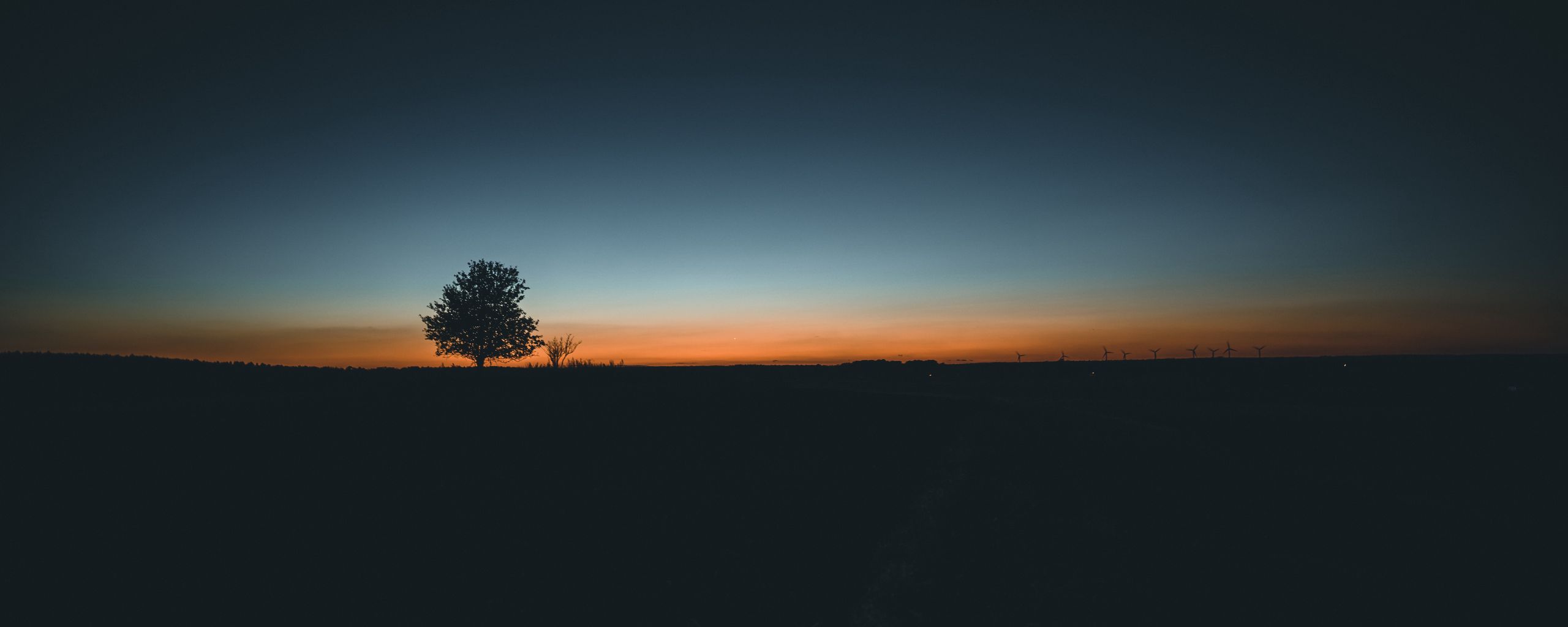 Download wallpaper 2560x1024 tree