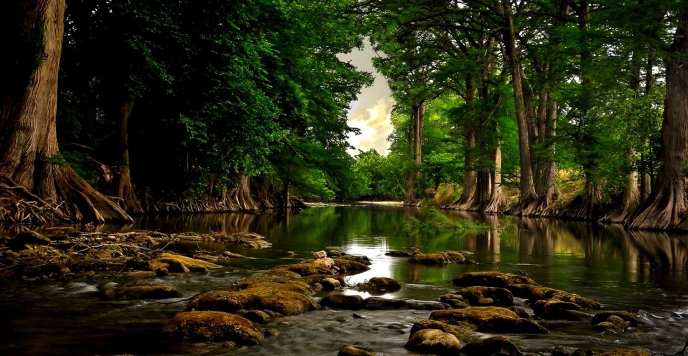 Nature Wallpaper For Macbook