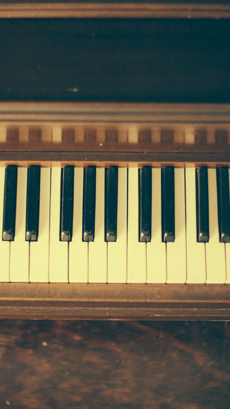 Download wallpaper 800x1420 piano