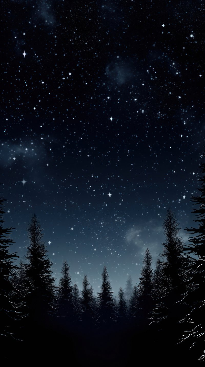 Black Dark Forest Background Image