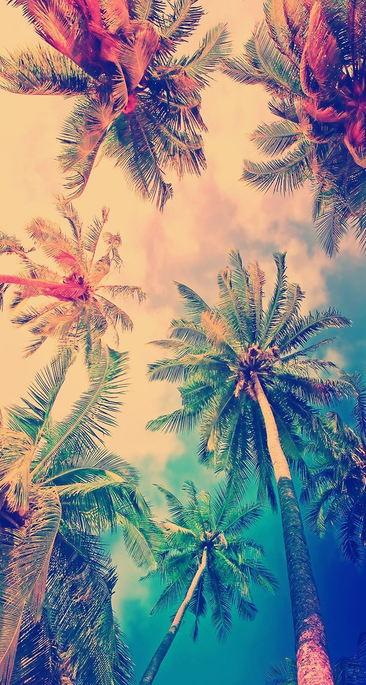 Trending iPhone Wallpaper