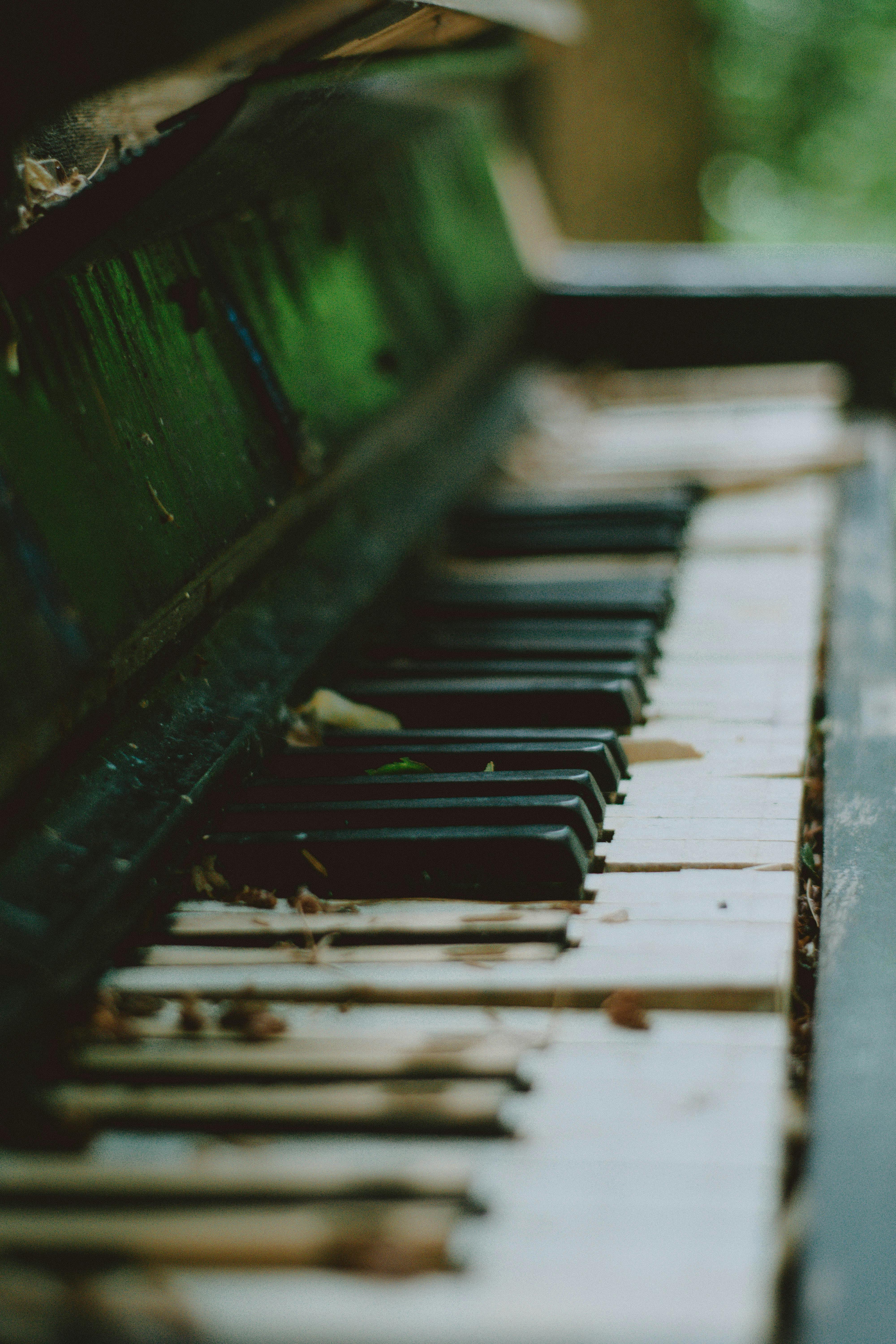 Piano Keys · Free
