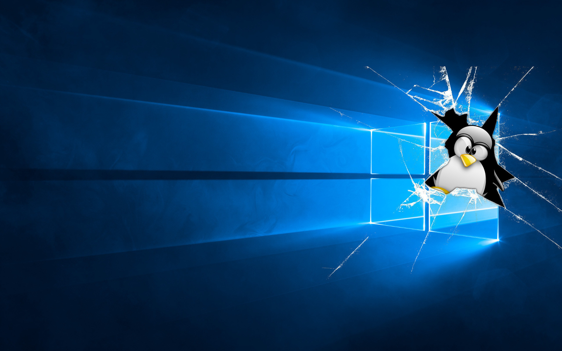 Windows or Linux for your servers