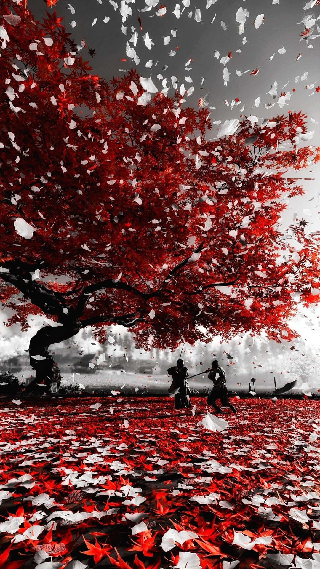 Leaves Falling Down Wallpaper
