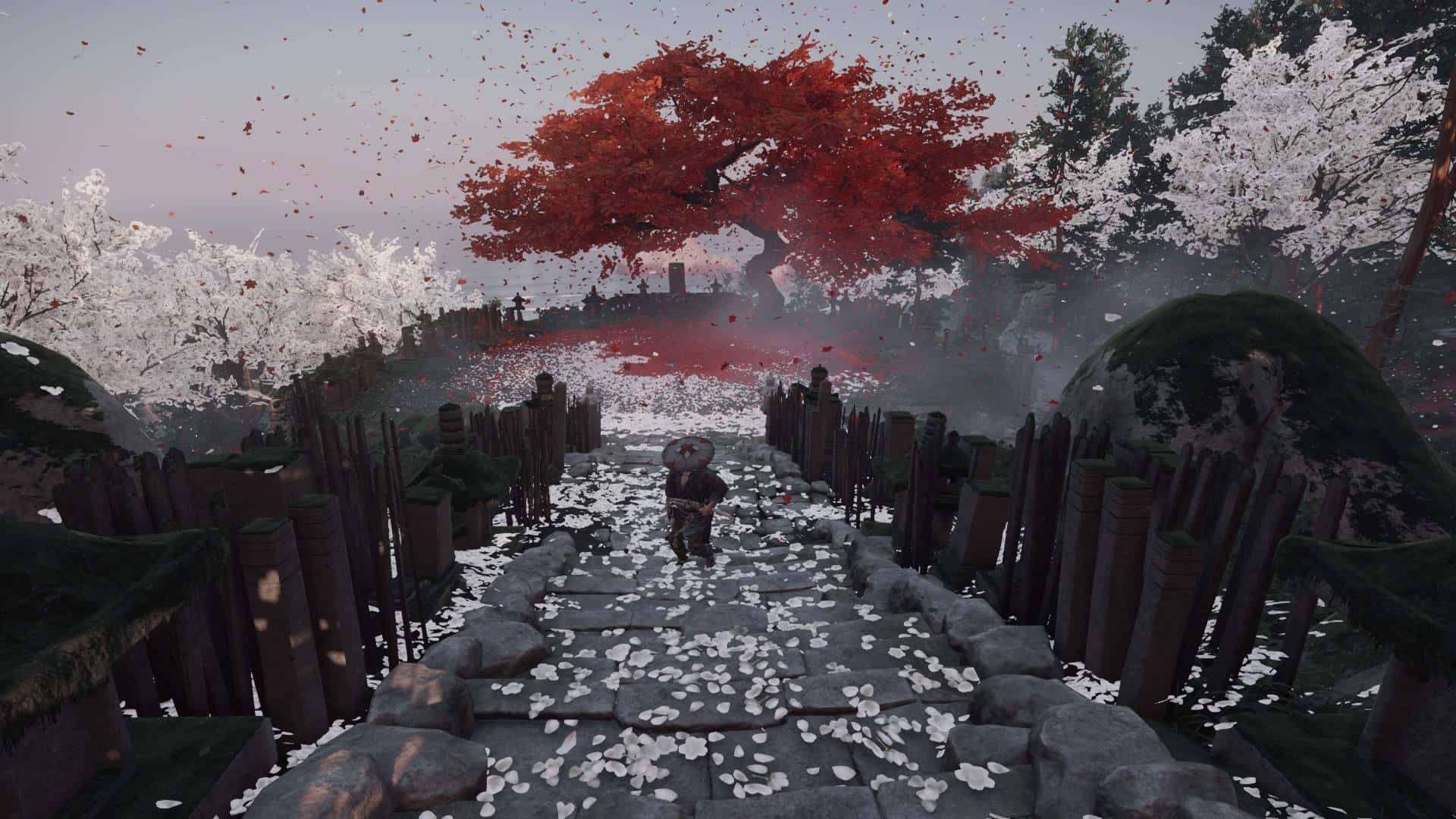 White Banner Fall