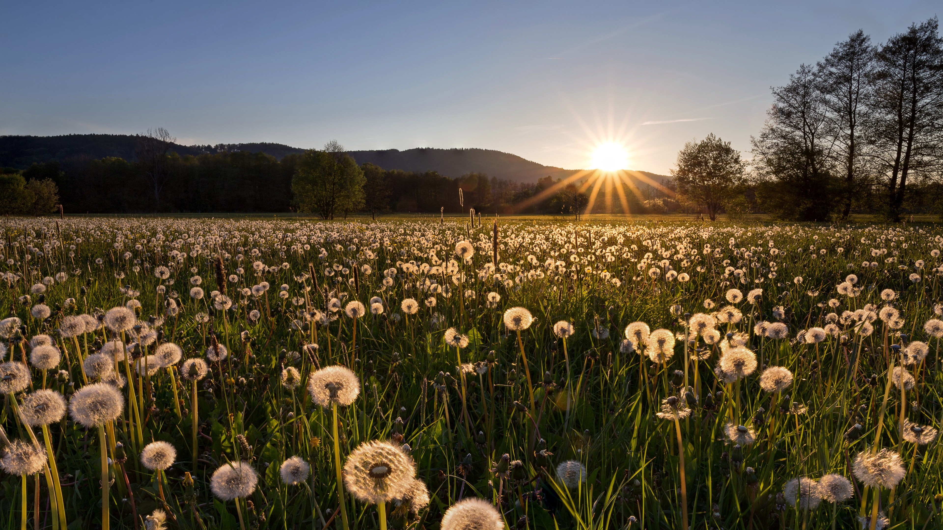 sunrise 4k wallpaper