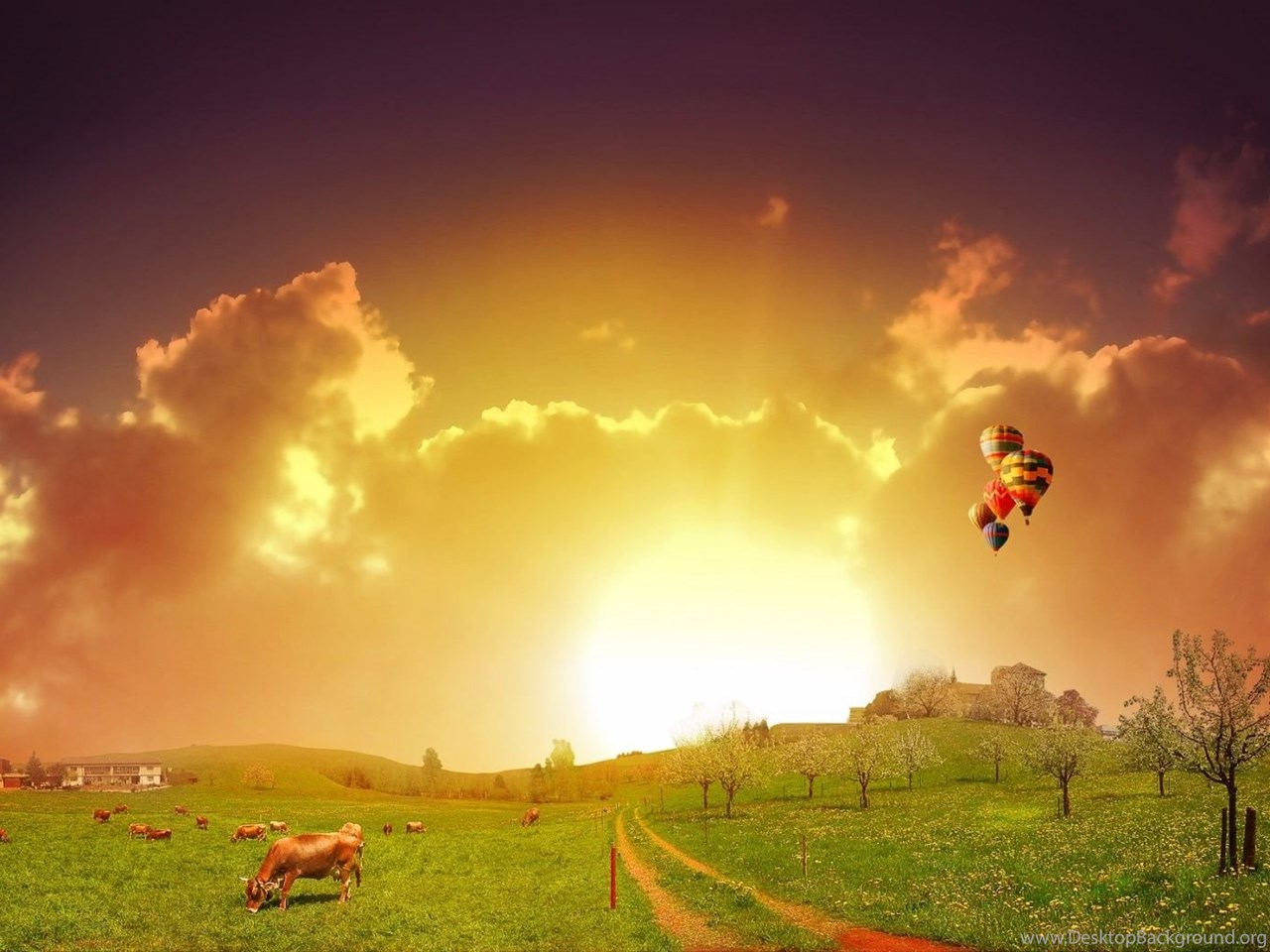 Mac Wallpaper Desktop Background