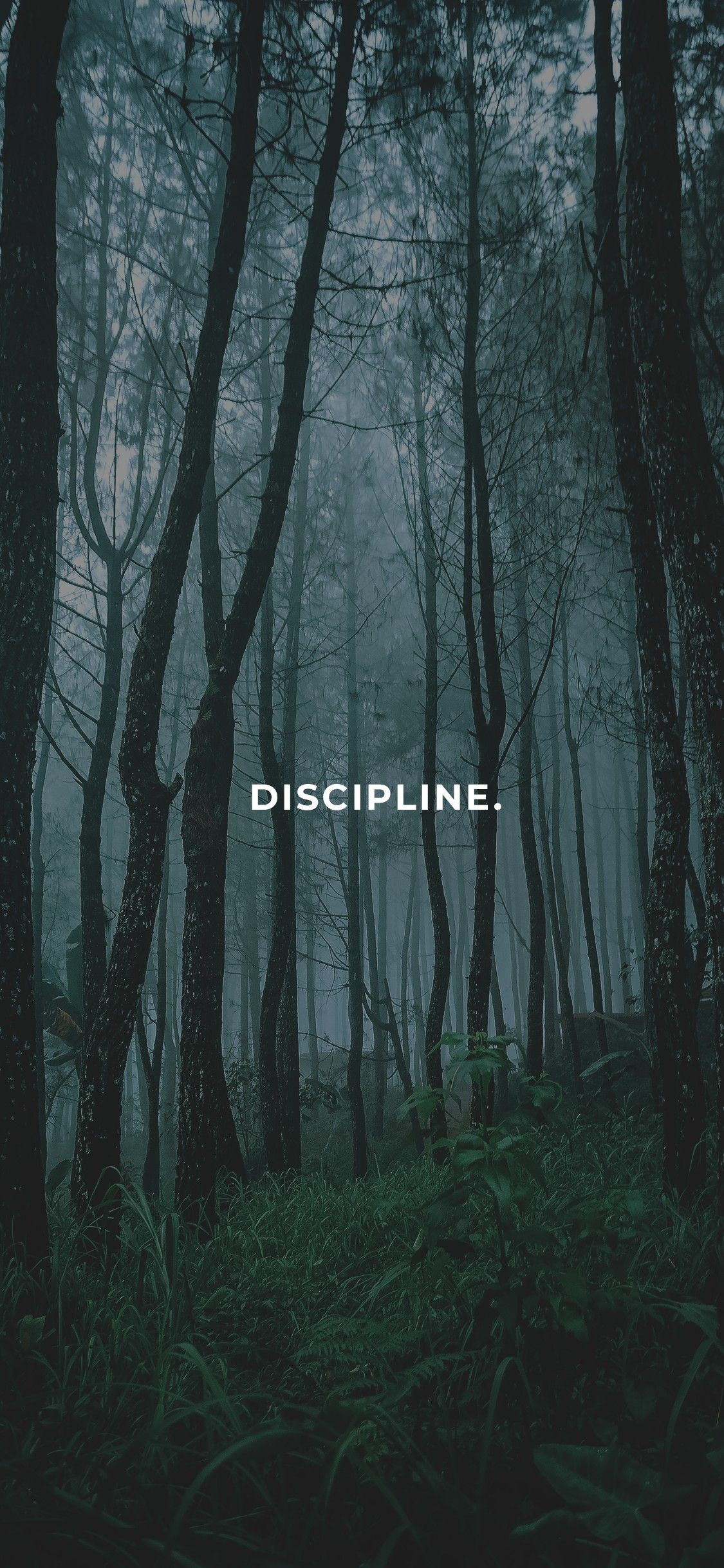 Discipline: Dark Landscape Phone Wallpaper