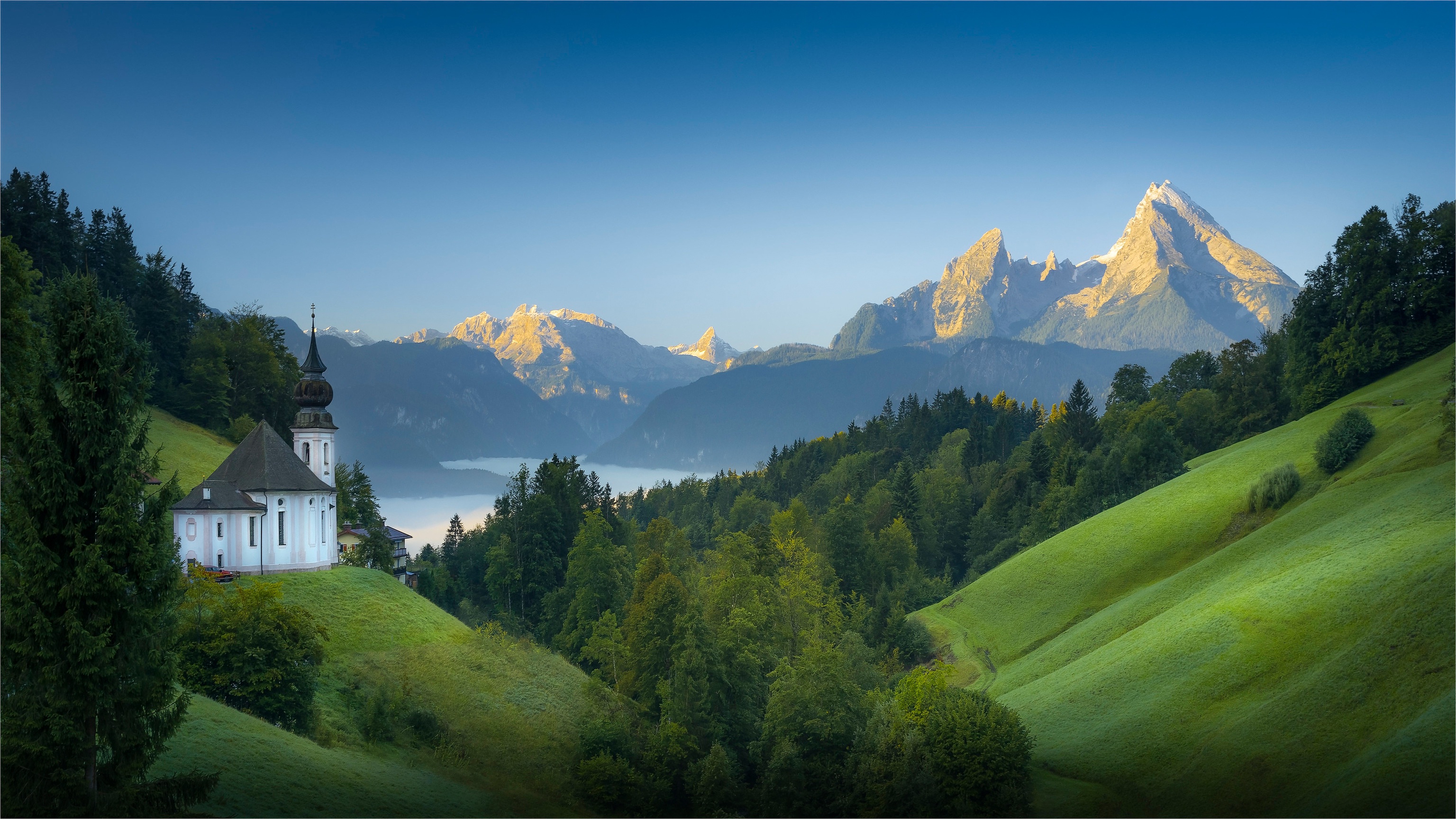 Wallpaper forest, mountains, lake