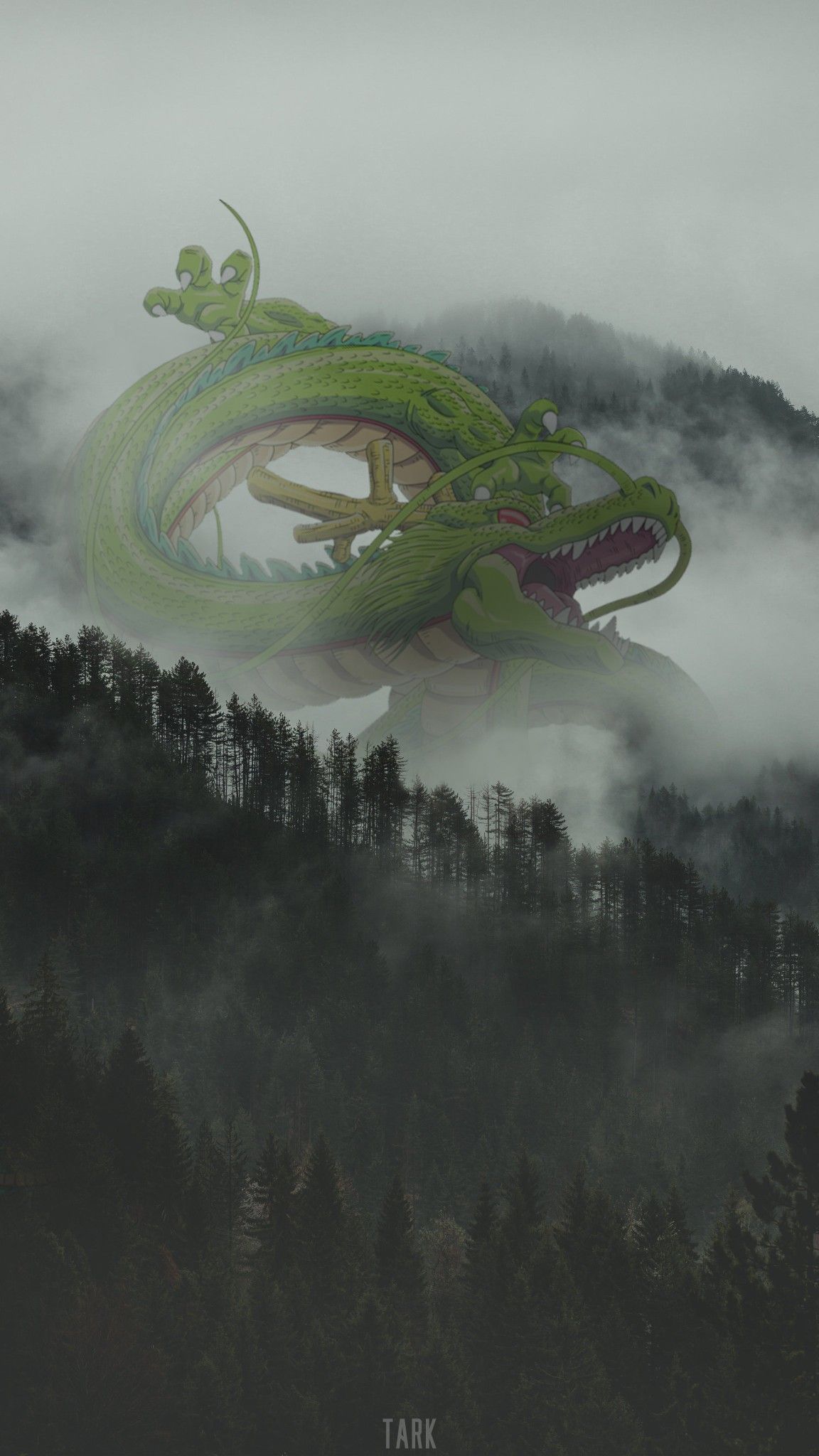 Shenron wallpaper. Fond d'ecran dessin